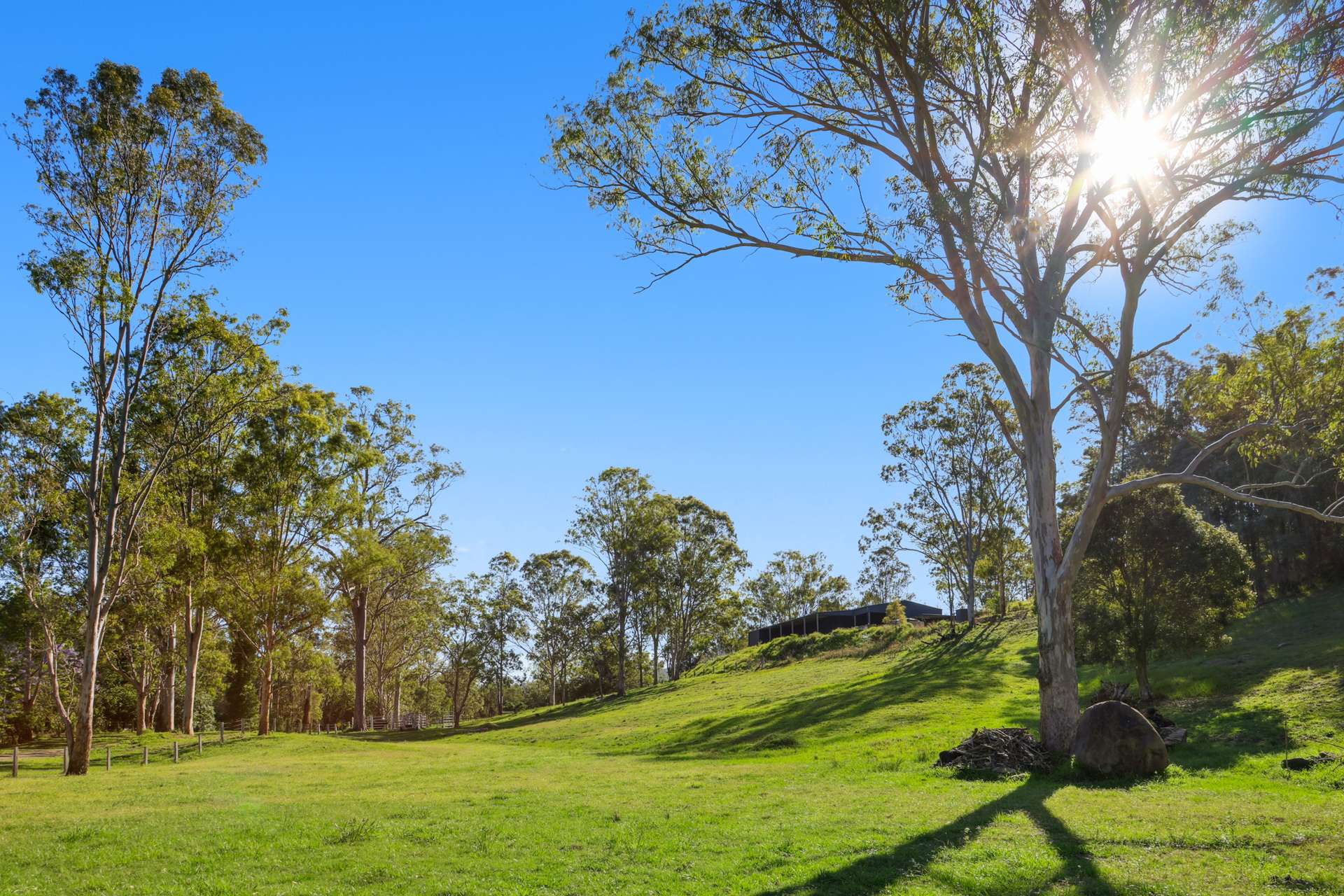 66 Double Crossing Road, Canungra For Sale by Farmbuy.com - image 15