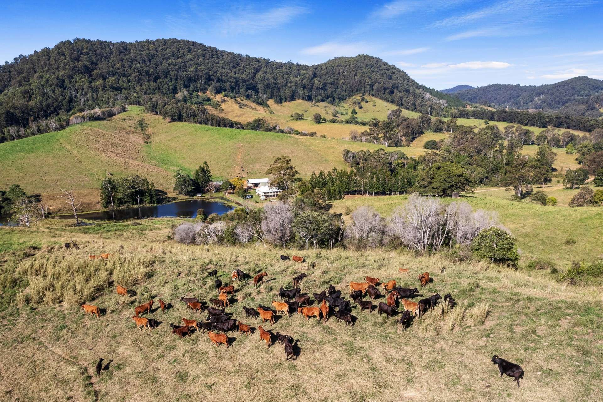 160 Buchanan Road, Goomboorian Sold by Farmbuy.com - image 23