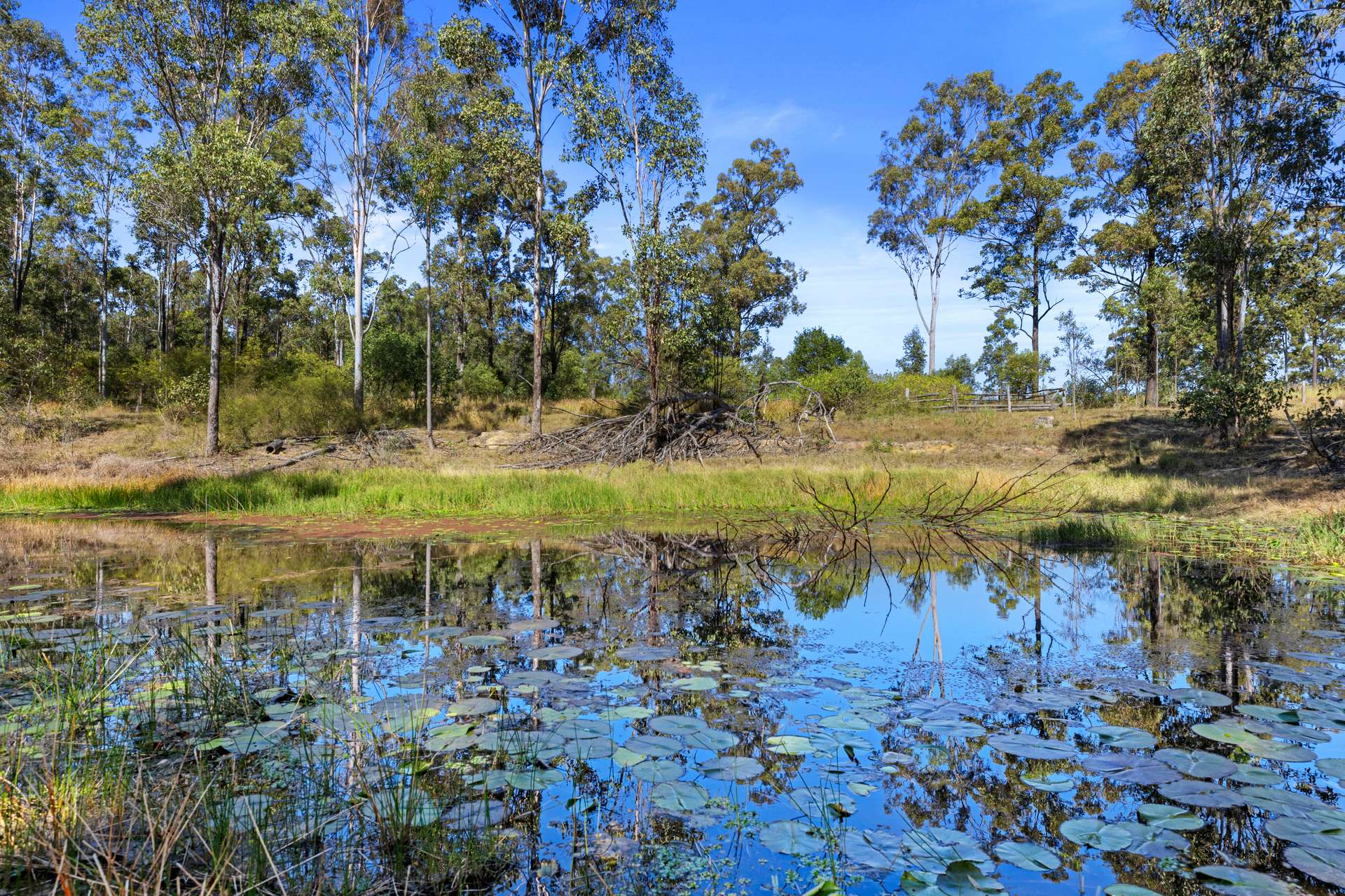224 Beckmanns Road, Glenwood For Sale by Farmbuy.com - image 2