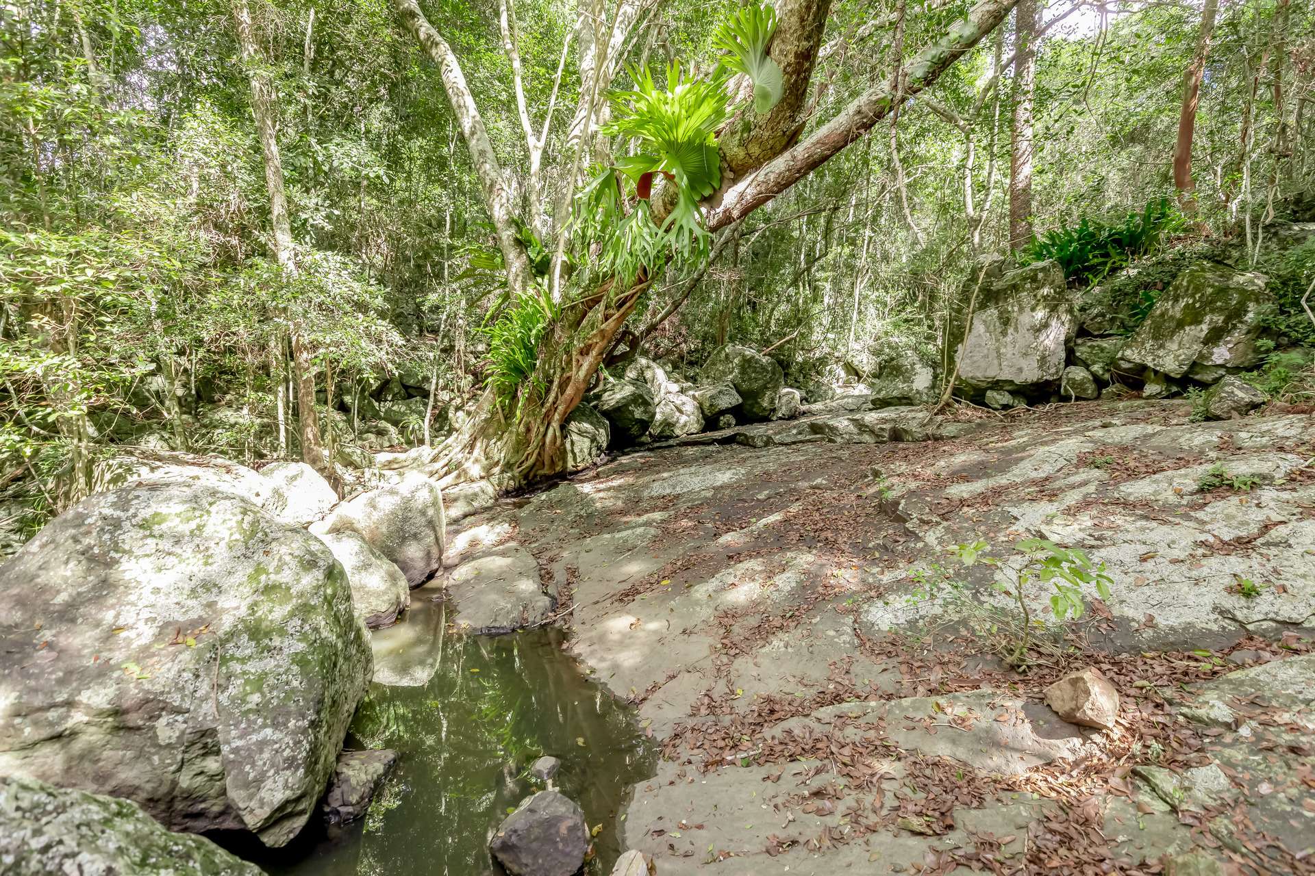 168 Repeater Station Road, Kanigan For Sale by Farmbuy.com - image 35