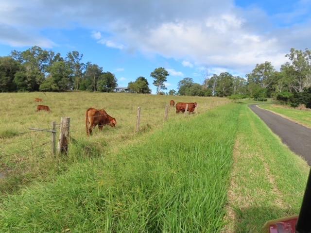 168 Repeater Station Road, Kanigan For Sale by Farmbuy.com - image 6