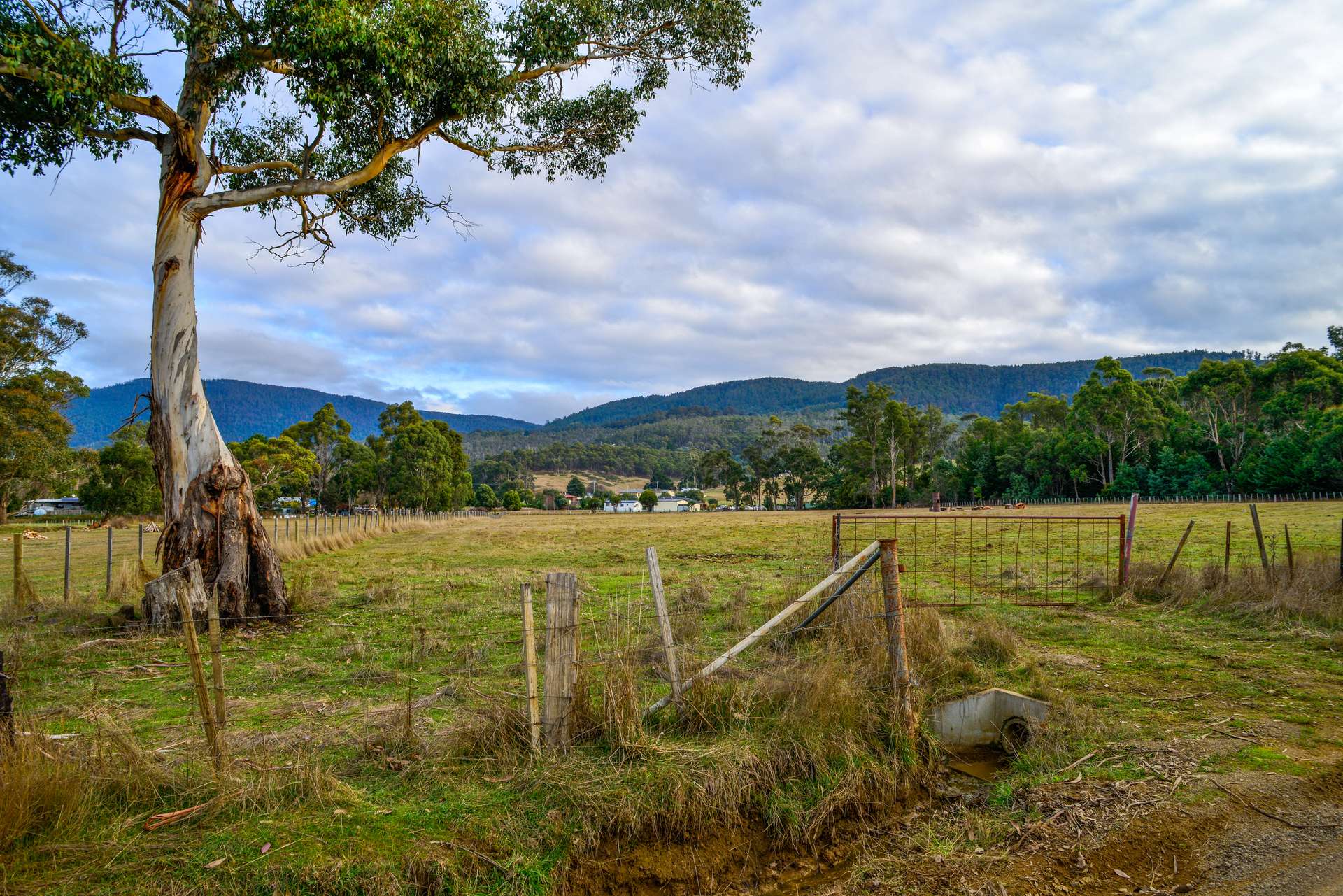 45 Millers Road, Lachlan For Sale by Farmbuy.com - image 12