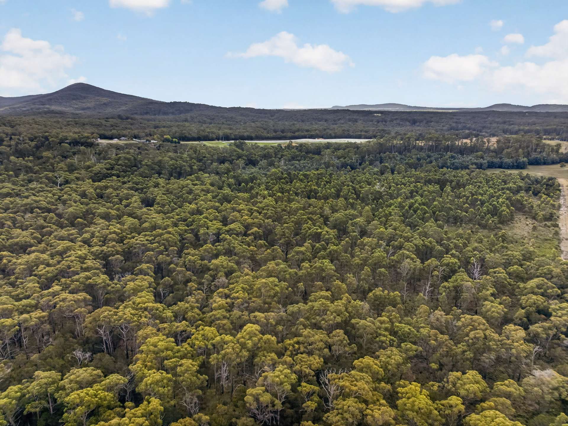PID: 6106965 Greens Beach Road, York Town For Sale by Farmbuy.com - image 6