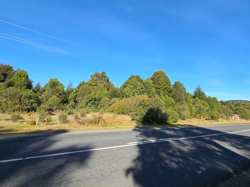 891 Waratah Road, Waratah TAS 7321