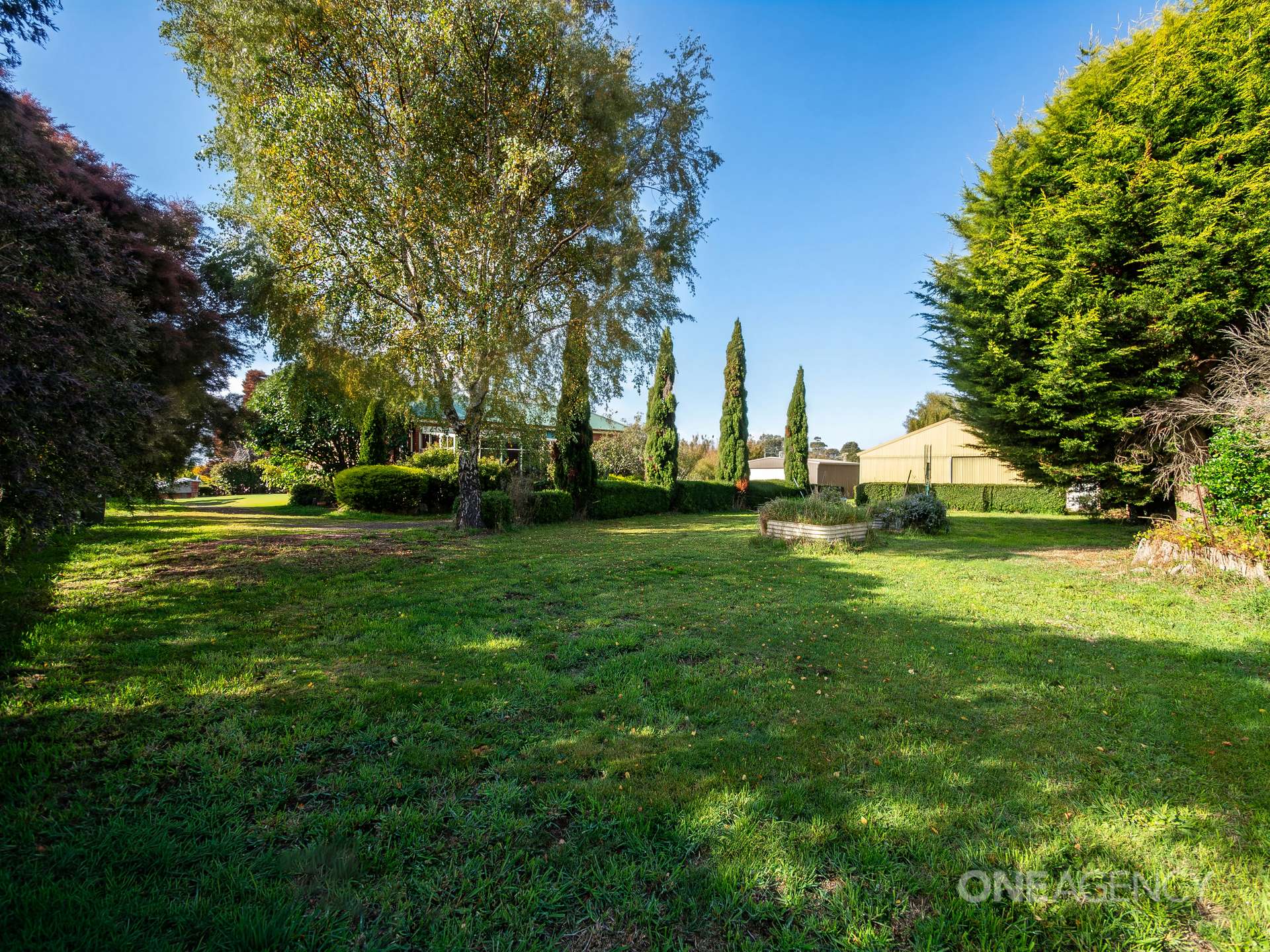 1260 West Mooreville Road, Ridgley For Sale by Farmbuy.com - image 34