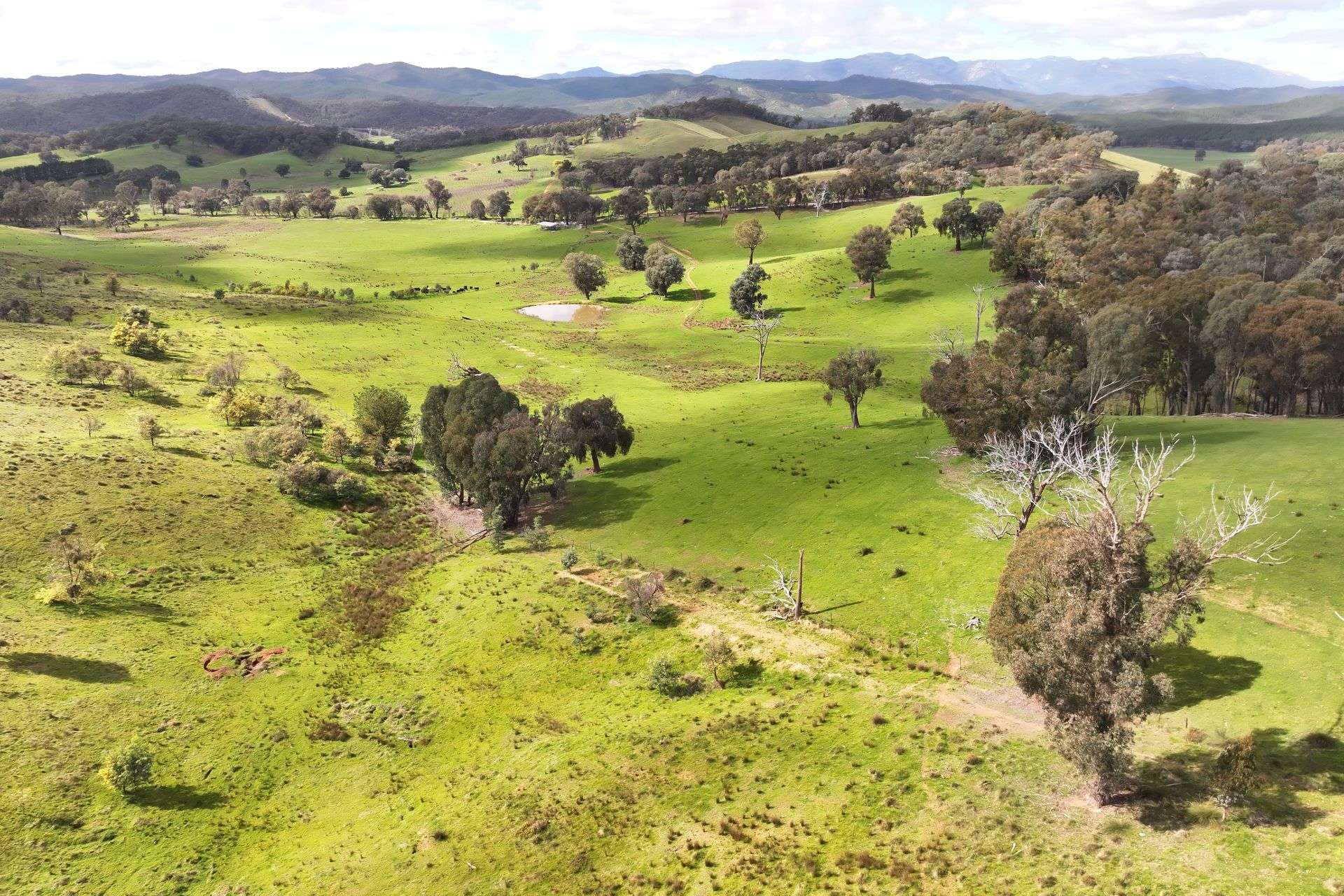 160 Carboor Upper Road, Carboor For Sale by Farmbuy.com - image 30