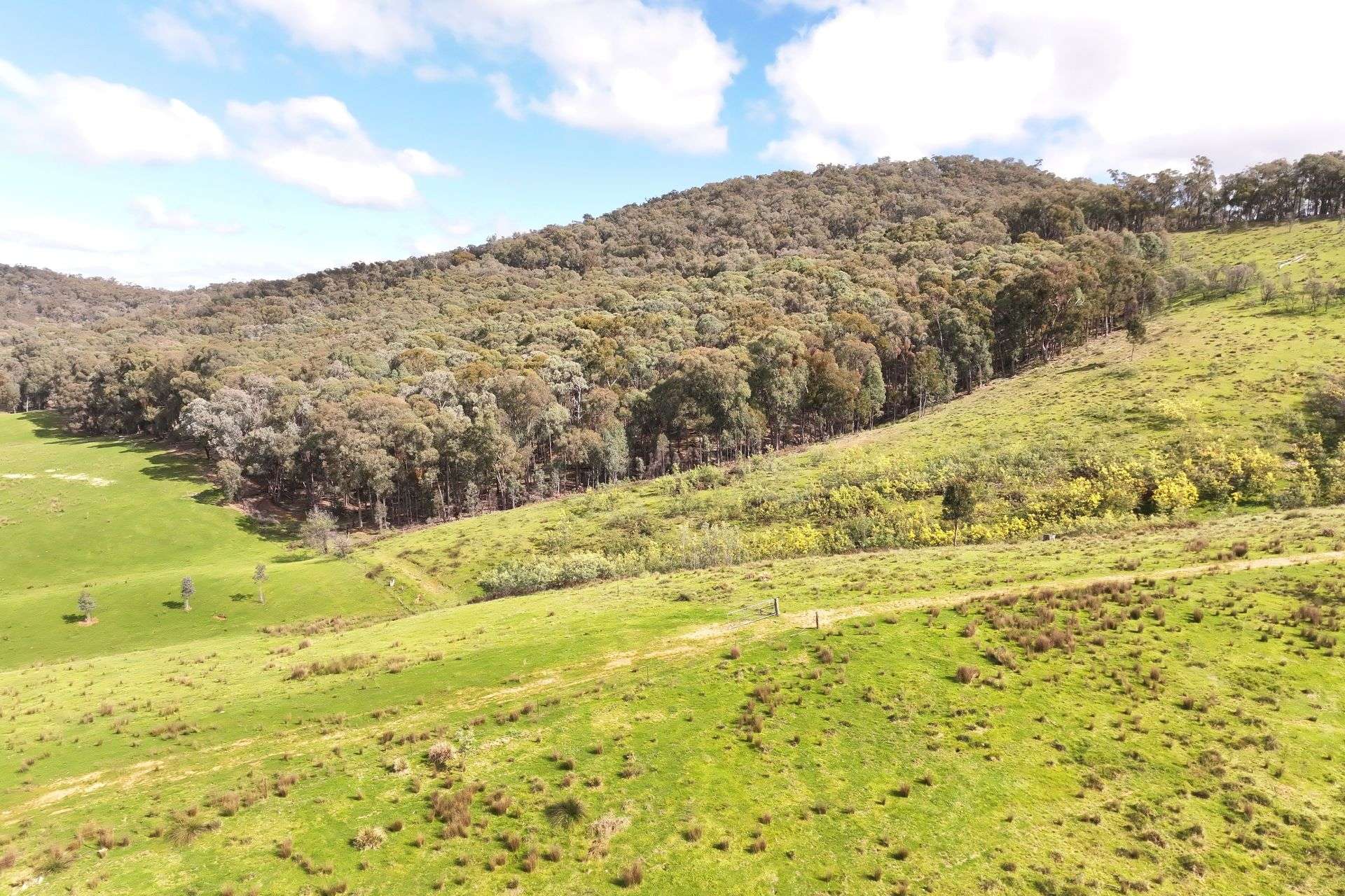 160 Carboor Upper Road, Carboor For Sale by Farmbuy.com - image 33
