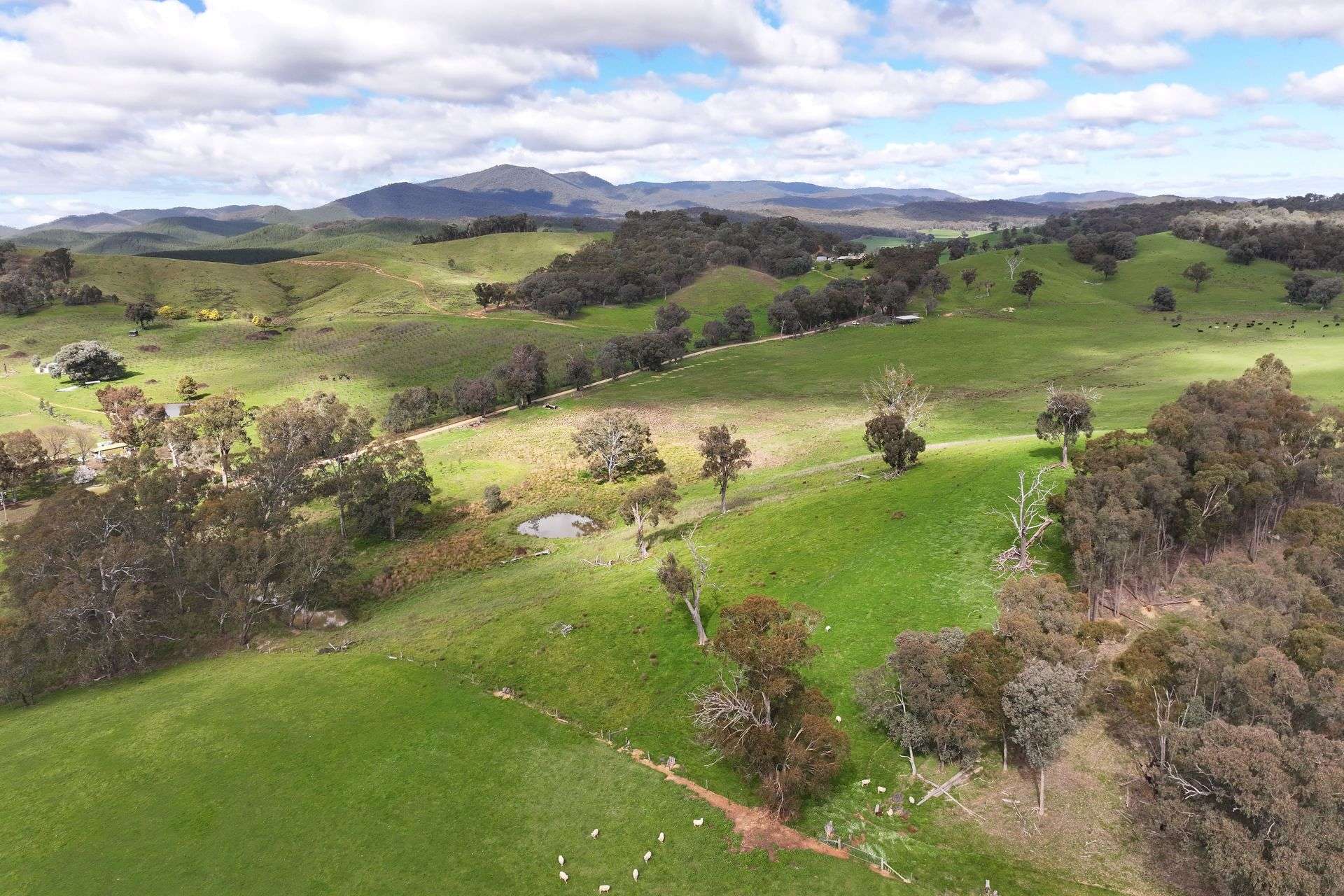 160 Carboor Upper Road, Carboor For Sale by Farmbuy.com - image 34