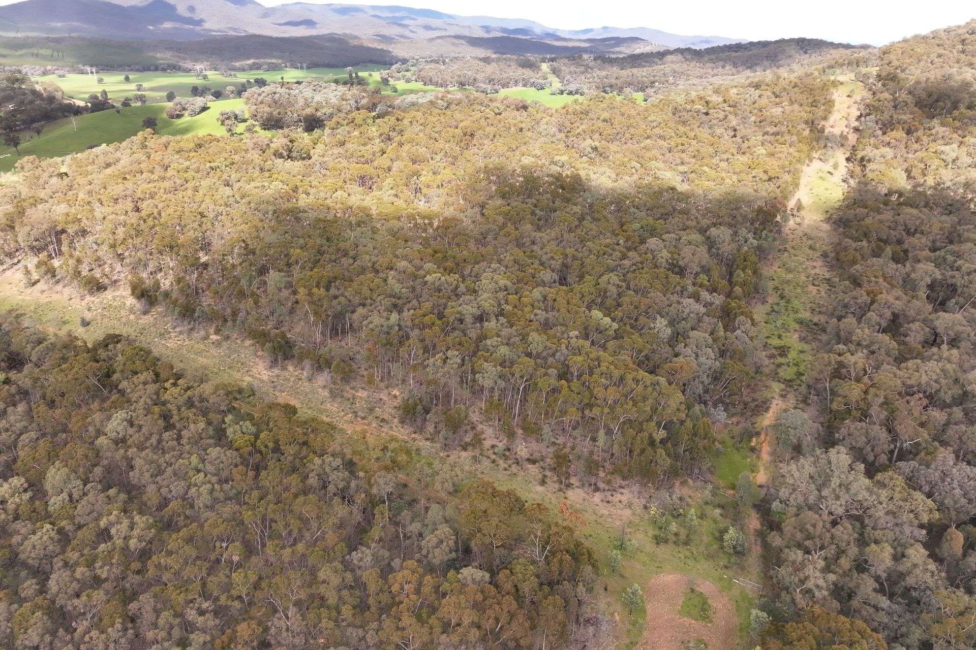 160 Carboor Upper Road, Carboor For Sale by Farmbuy.com - image 24