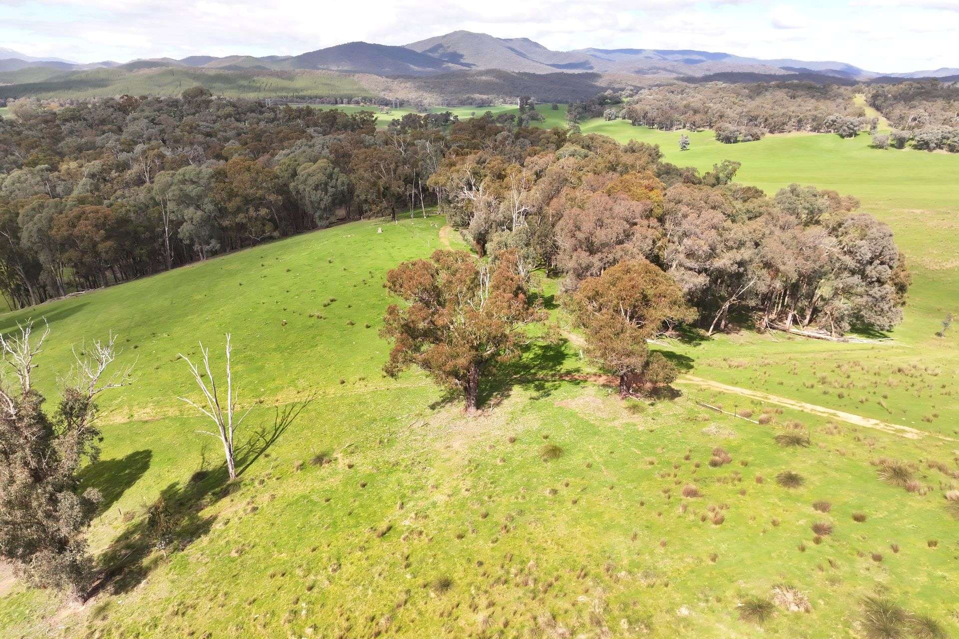 160 Carboor Upper Road, Carboor For Sale by Farmbuy.com - image 31