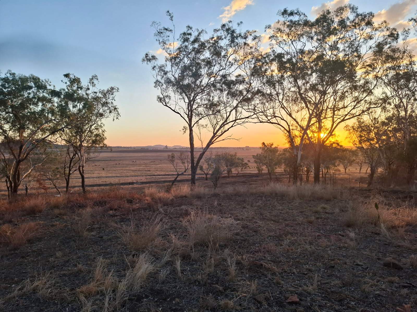 Lot 28 Aubigny - Crosshill Road, Aubigny For Sale by Farmbuy.com - image 4
