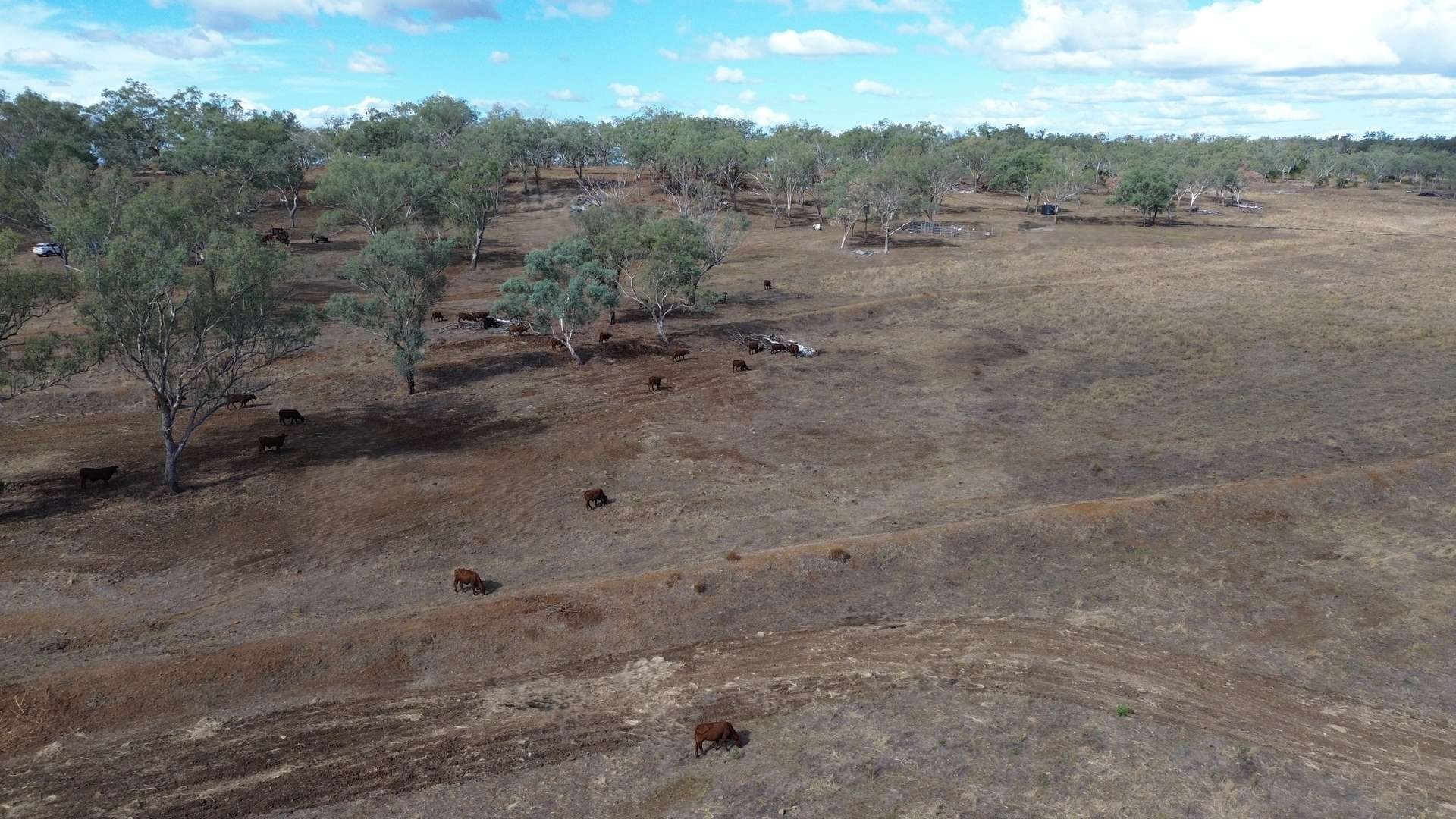 Lot 28 Aubigny - Crosshill Road, Aubigny For Sale by Farmbuy.com - image 16