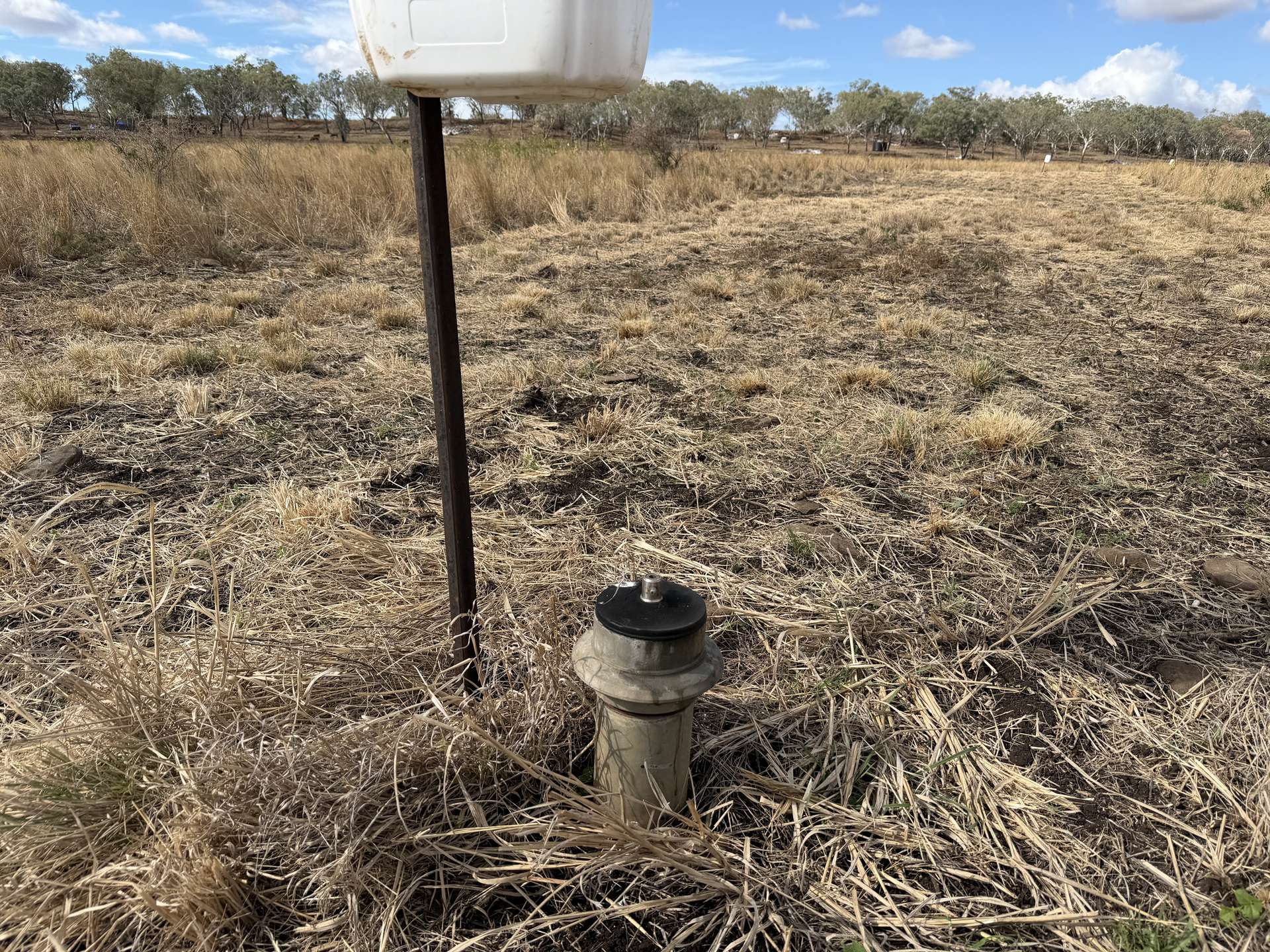Lot 28 Aubigny - Crosshill Road, Aubigny For Sale by Farmbuy.com - image 9