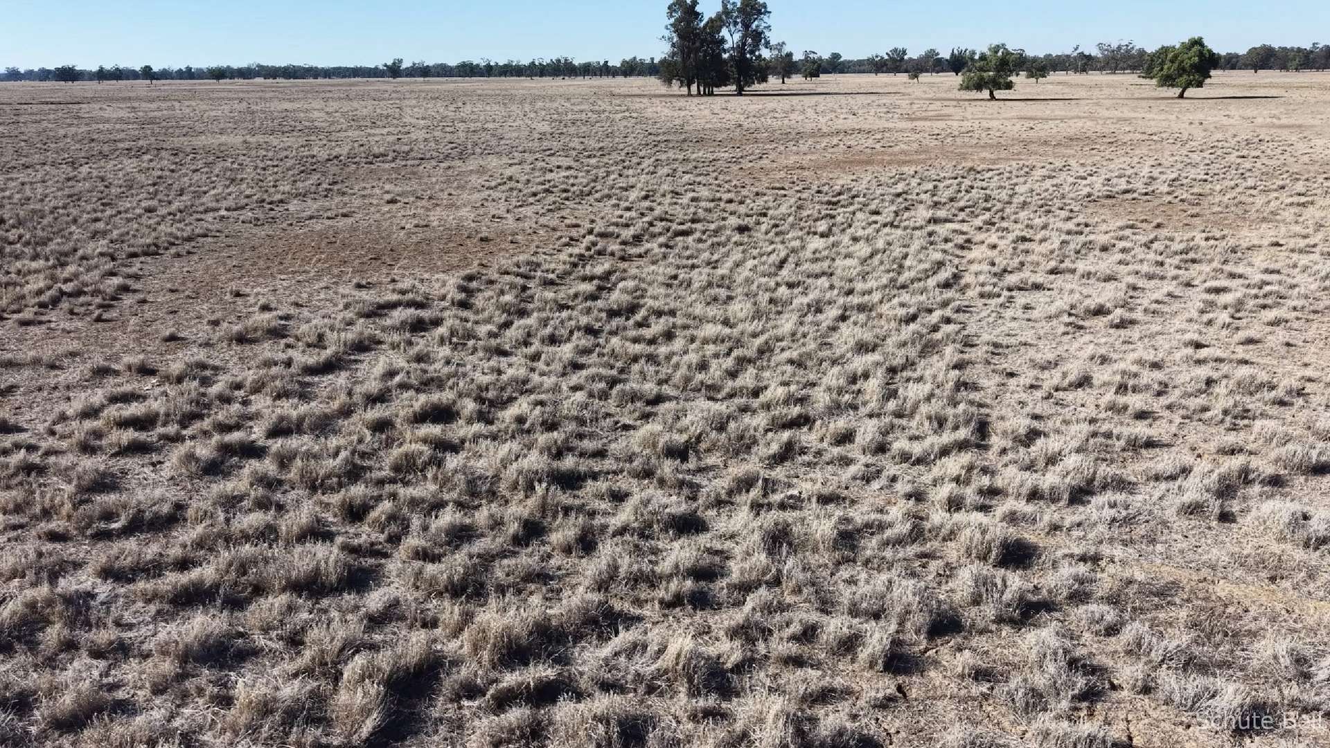 3498 The Mcgrane Way, Narromine For Sale by Farmbuy.com - image 5