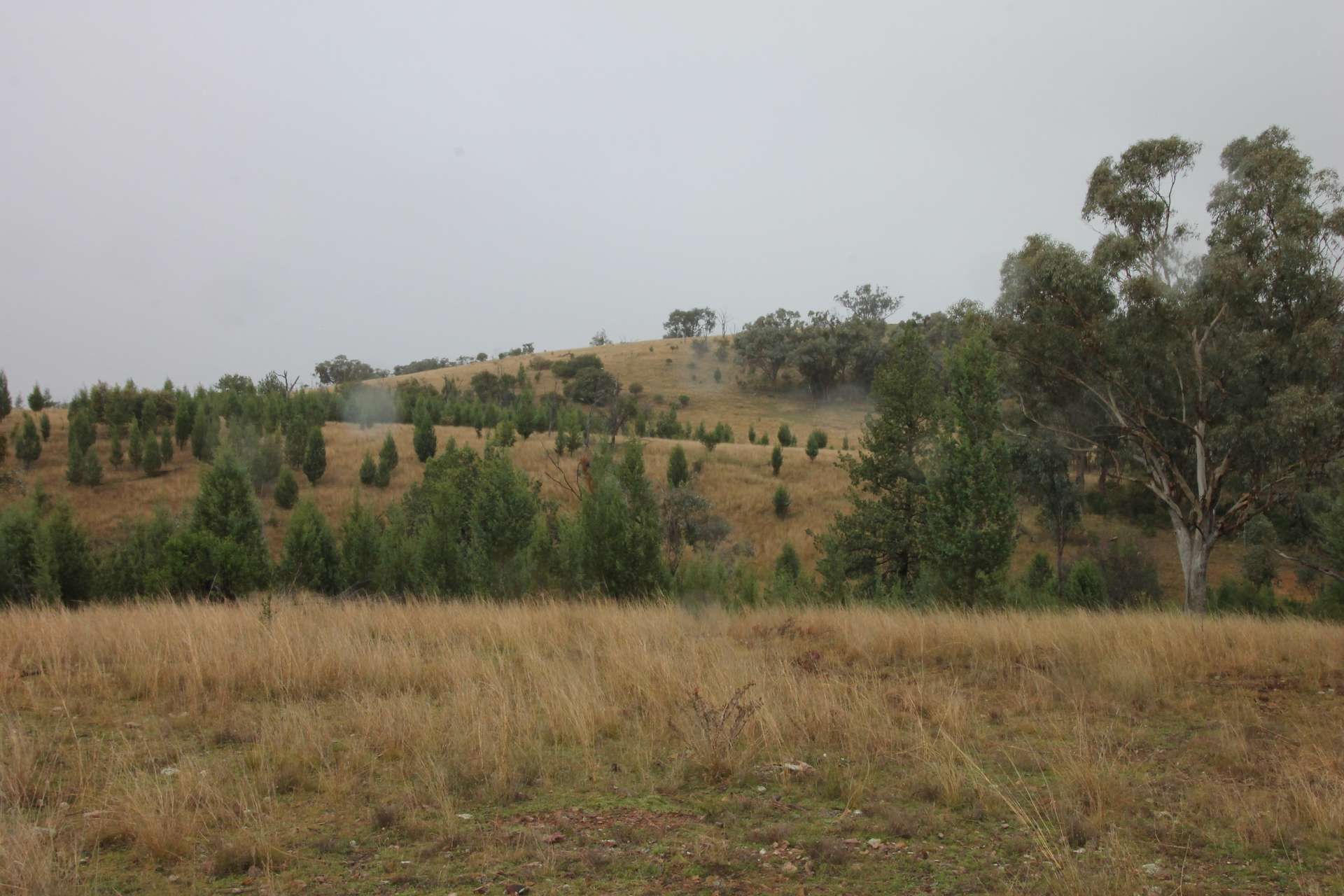 0 Texas Rd, Silver Spur For Sale by Farmbuy.com - image 20