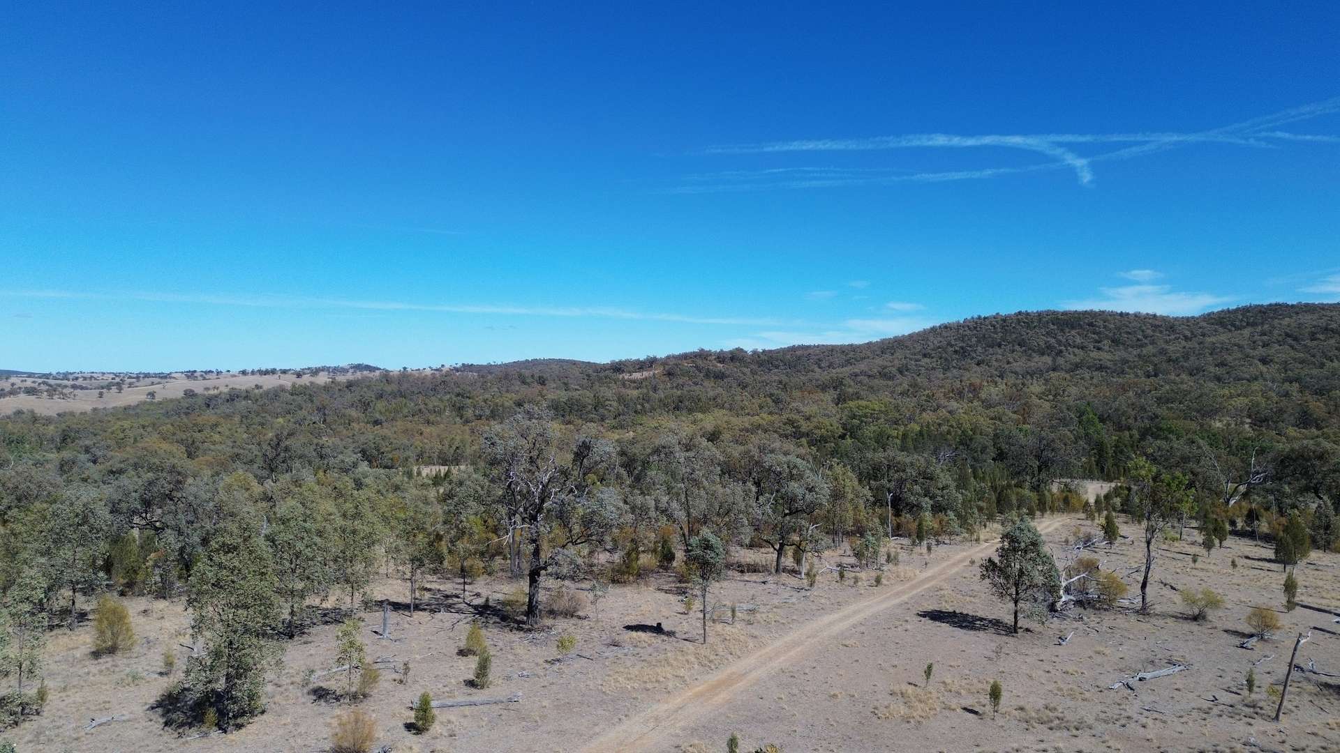 0 Texas Rd, Silver Spur For Sale by Farmbuy.com - image 26