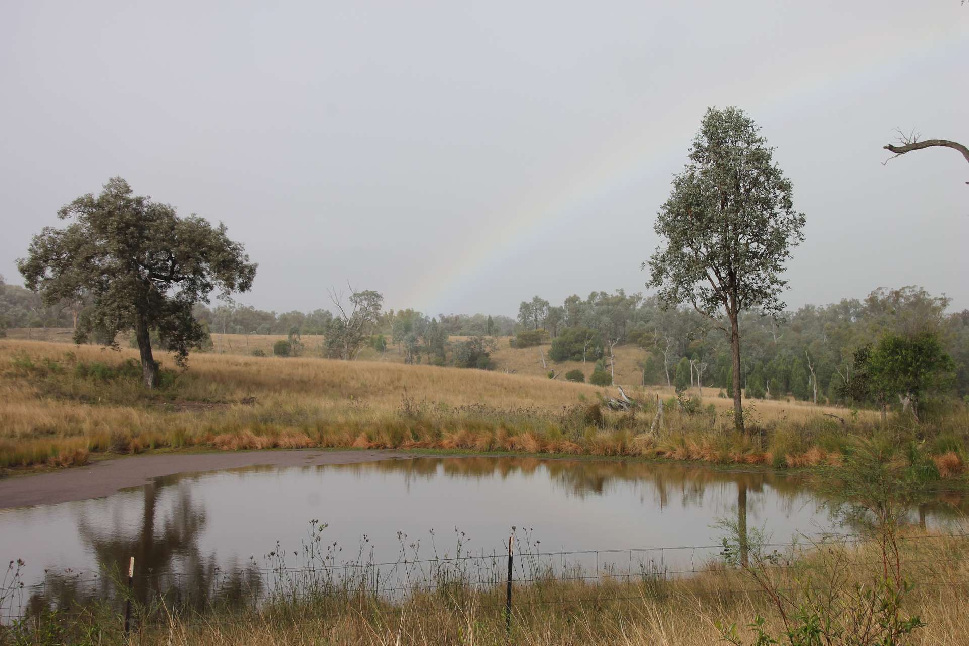 0 Texas Rd, Silver Spur For Sale by Farmbuy.com - image 17