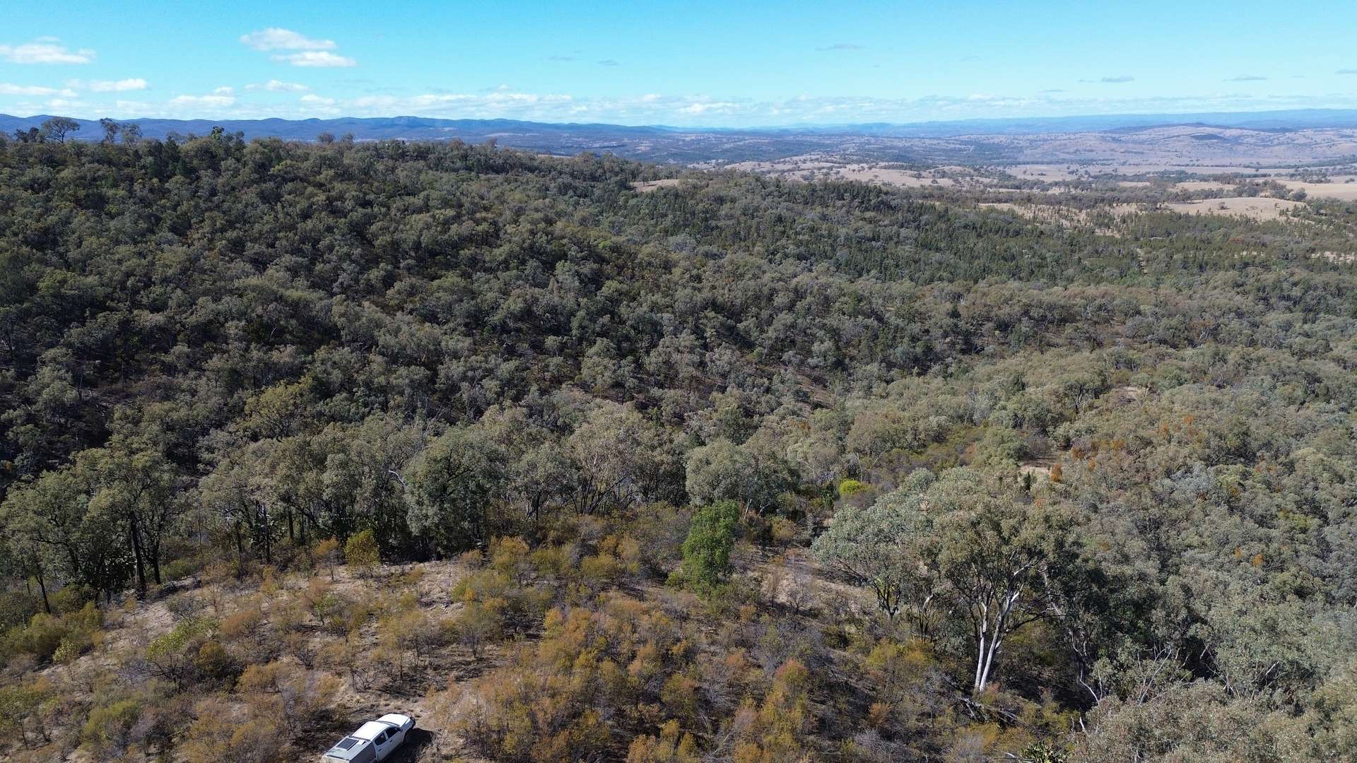 0 Texas Rd, Silver Spur For Sale by Farmbuy.com - image 29