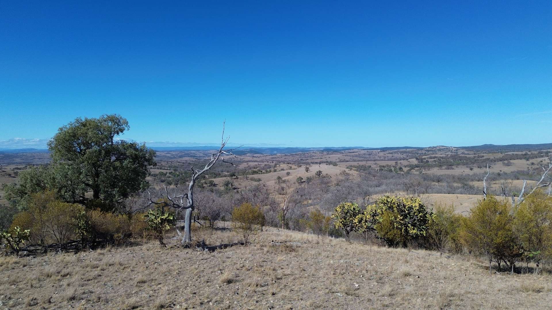 0 Texas Rd, Silver Spur For Sale by Farmbuy.com - image 21