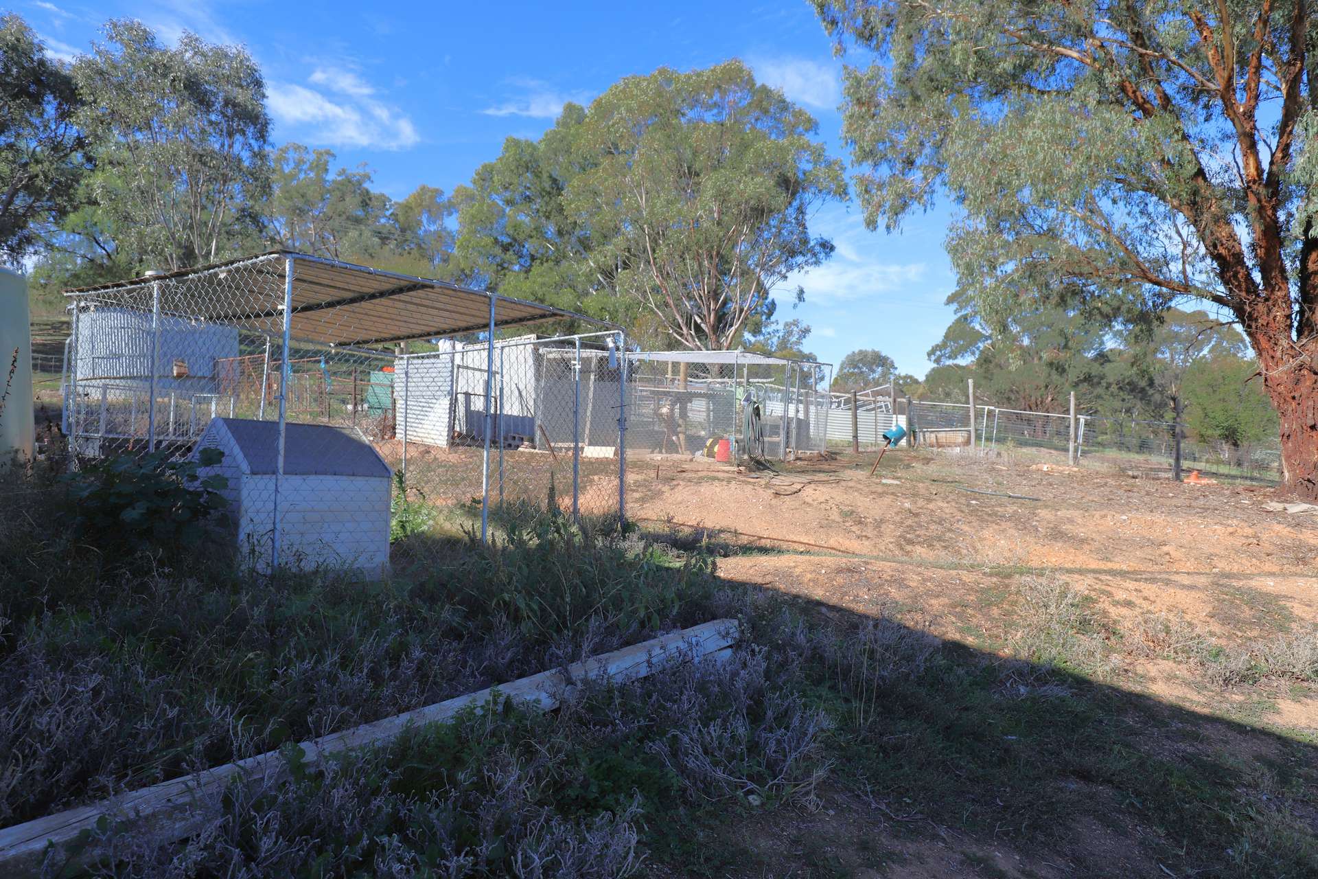 170 Pinkerton Road, Cootamundra For Sale by Farmbuy.com - image 21