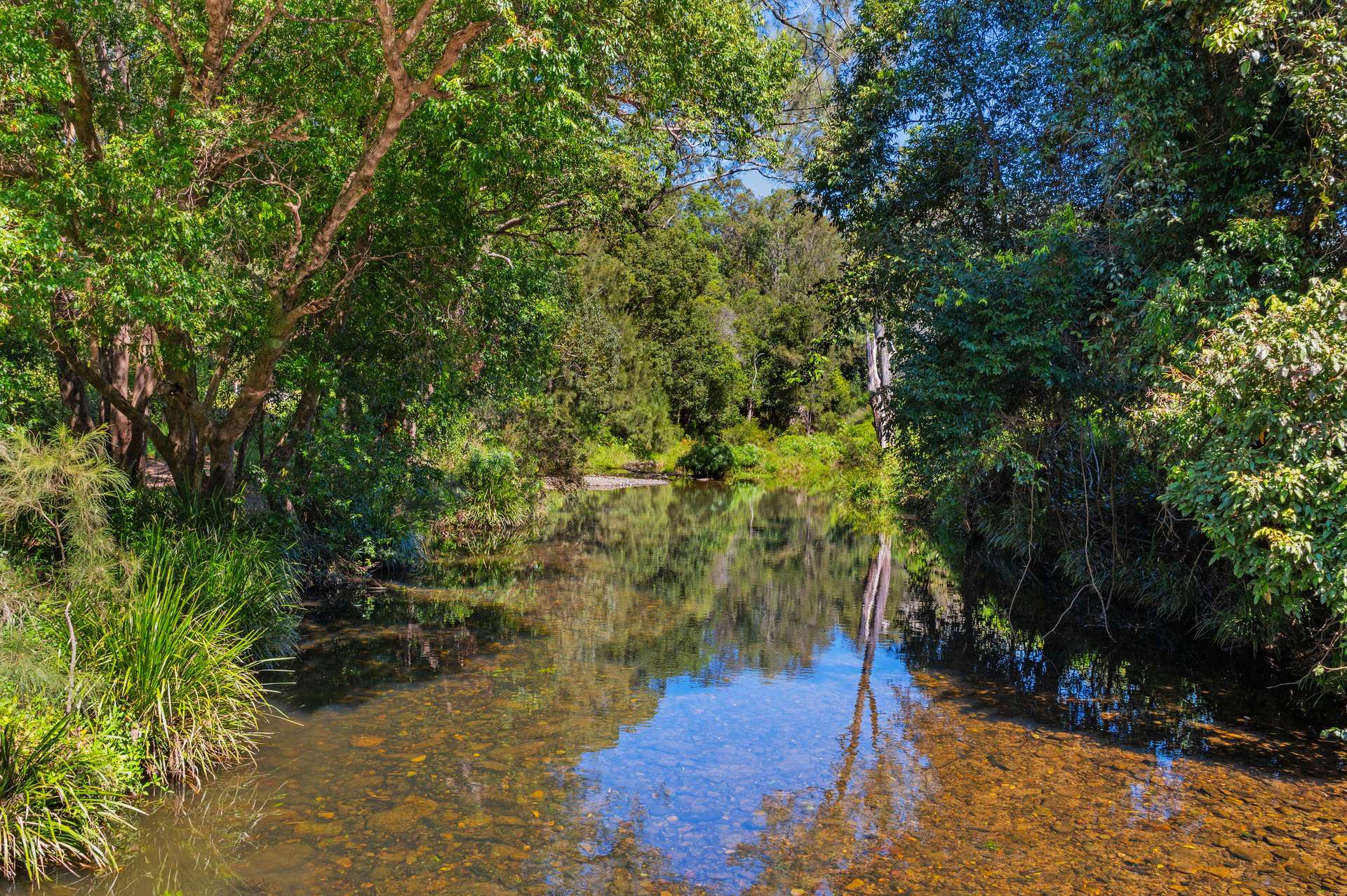 92 Halls Road, Cedar Creek For Sale by Farmbuy.com - image 33