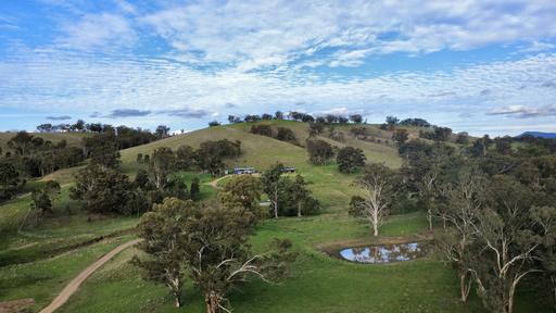 "Stangard" 103 Old Hwy Road, Blandford NSW 2338