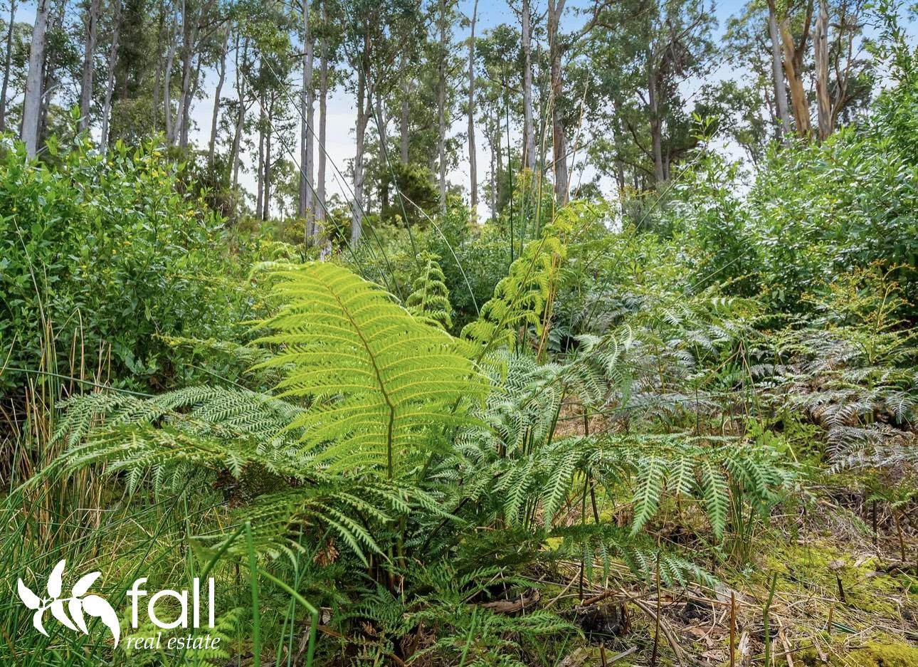 36 Cliffords Road, Gordon For Sale by Farmbuy.com - image 22