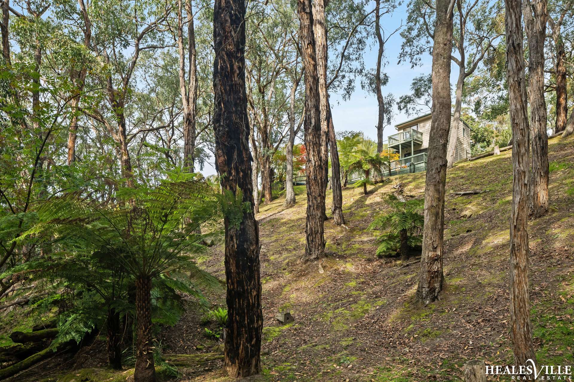 38 Heath Road, Chum Creek For Sale by Farmbuy.com - image 27