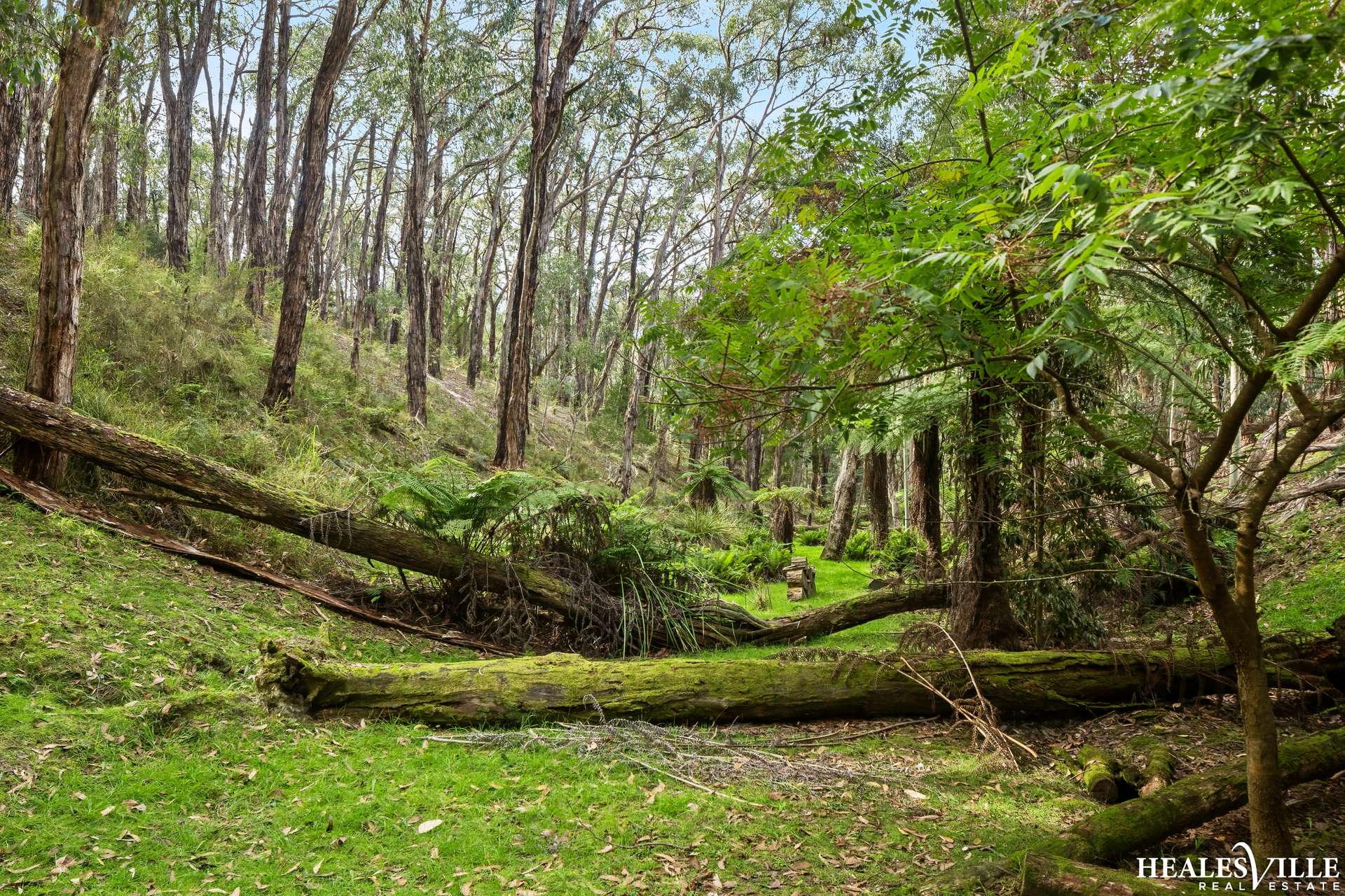 38 Heath Road, Chum Creek For Sale by Farmbuy.com - image 28
