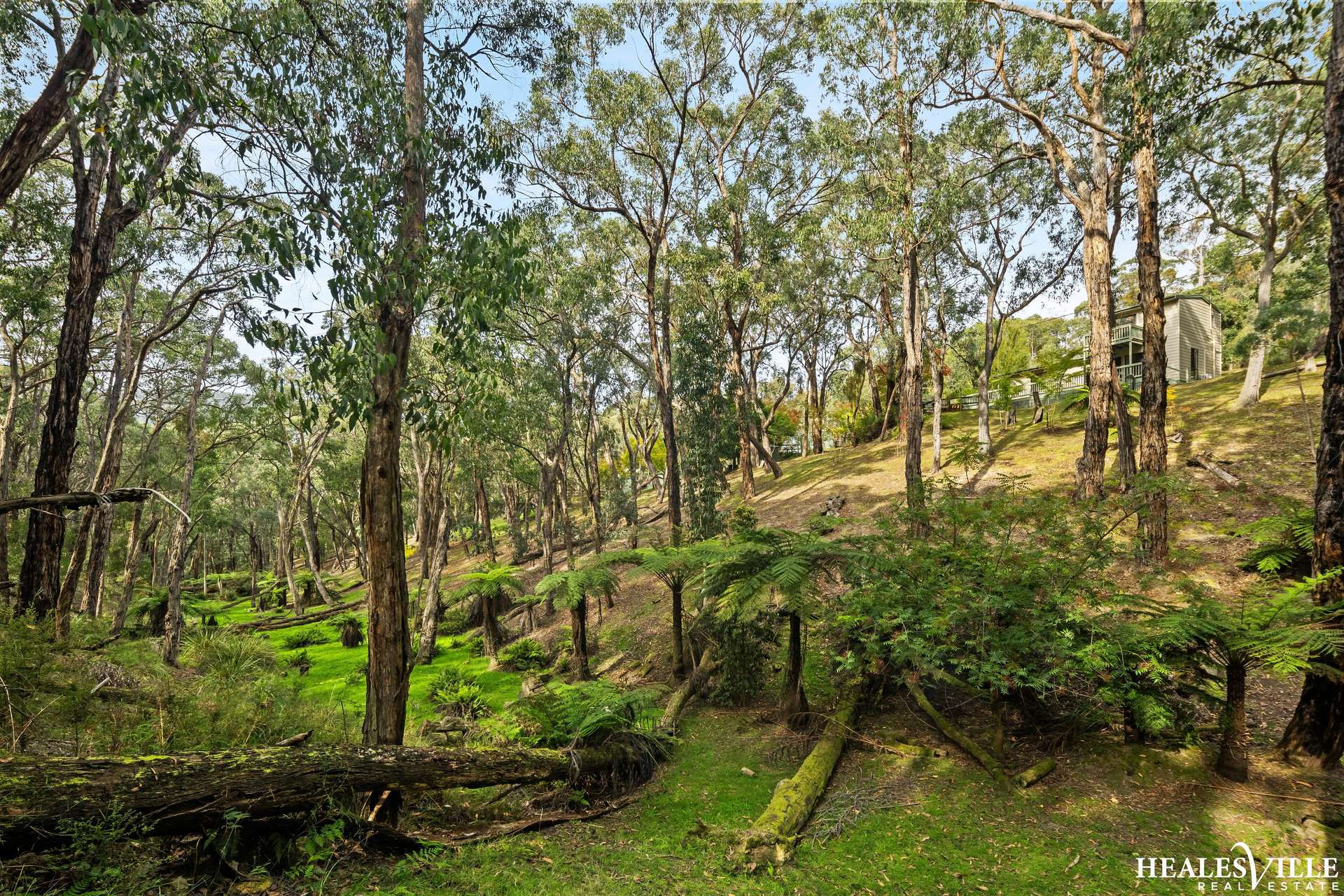 38 Heath Road, Chum Creek For Sale by Farmbuy.com - image 29