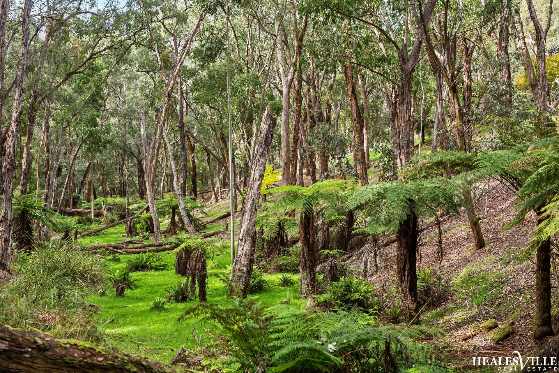 38 Heath Road, Chum Creek For Sale by Farmbuy.com - image 30