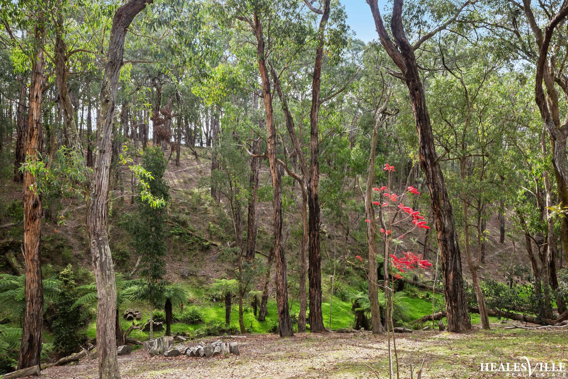 38 Heath Road, Chum Creek For Sale by Farmbuy.com - image 26