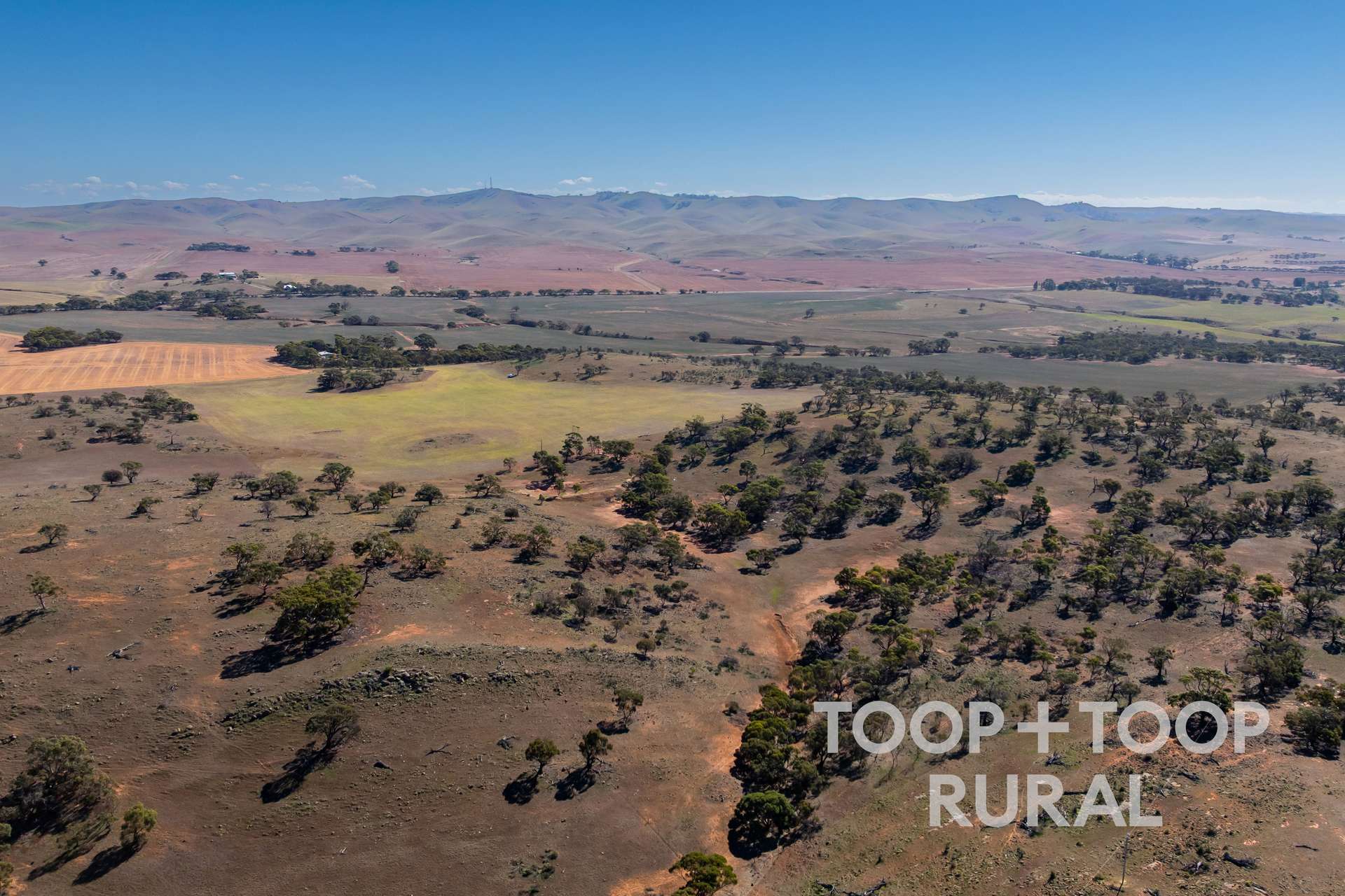 Oaklands Road, Dutton For Sale by Farmbuy.com - image 2