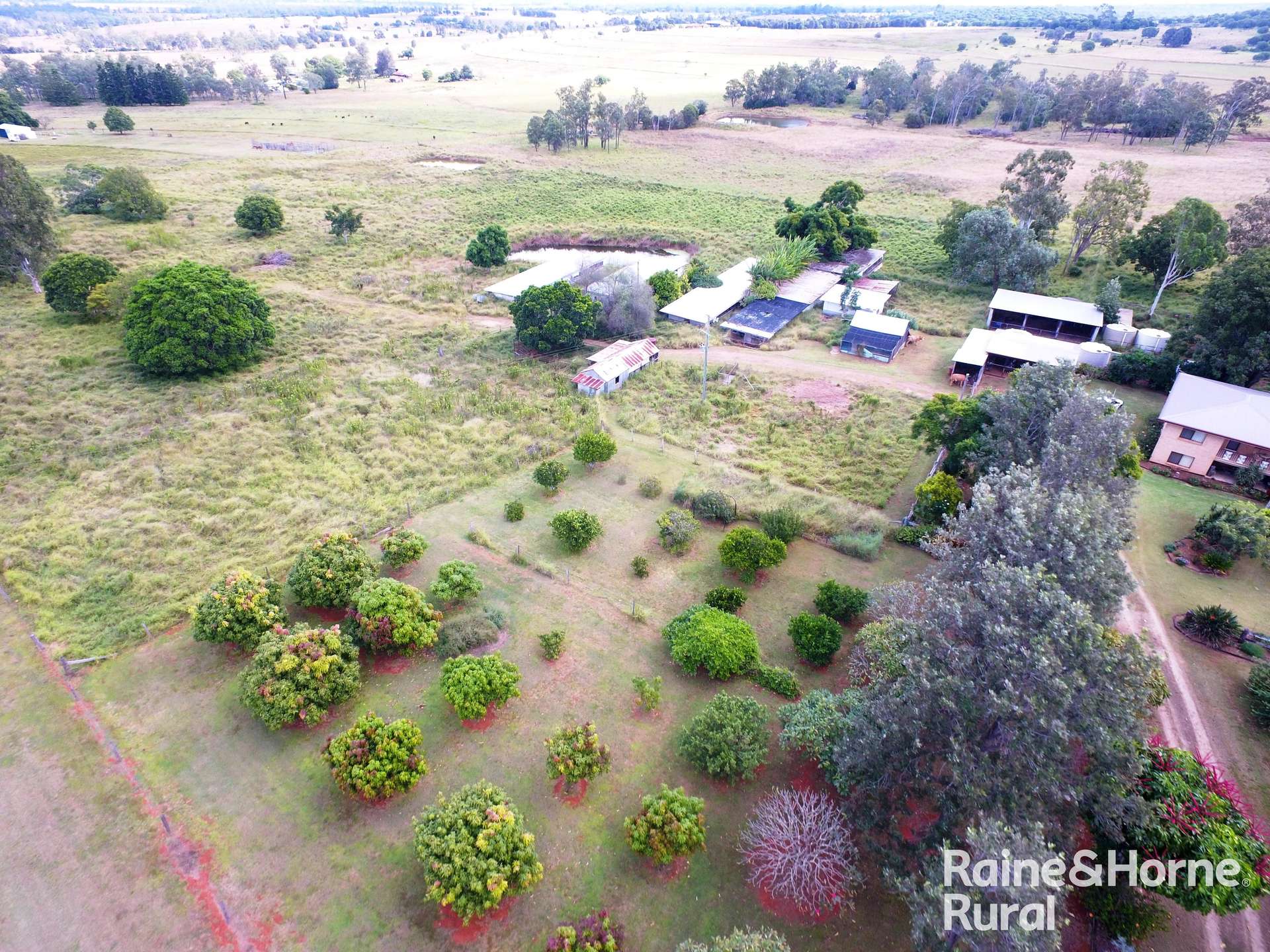 121 Elbow Road, Merlwood For Sale by Farmbuy.com - image 3