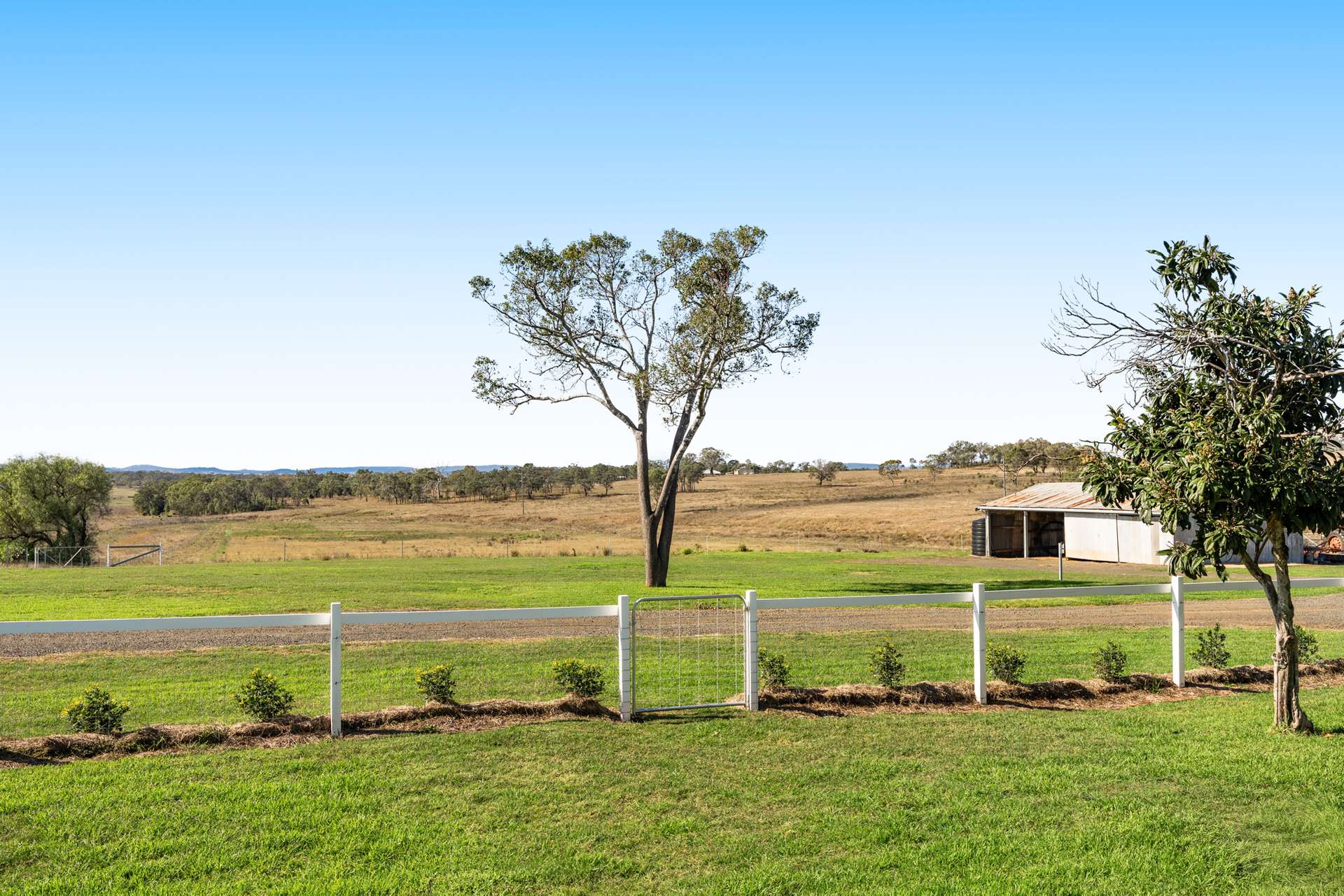 "Springdale" 44 Whittaker Road, Southbrook For Sale by Farmbuy.com - image 18