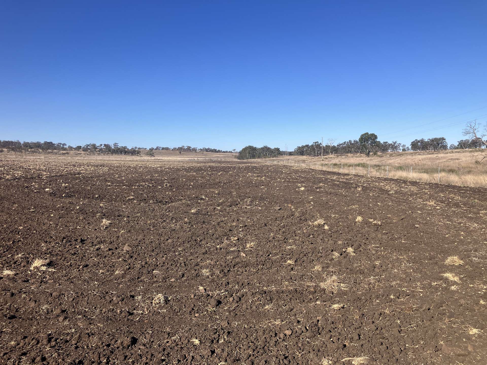 "Springdale" 44 Whittaker Road, Southbrook For Sale by Farmbuy.com - image 6