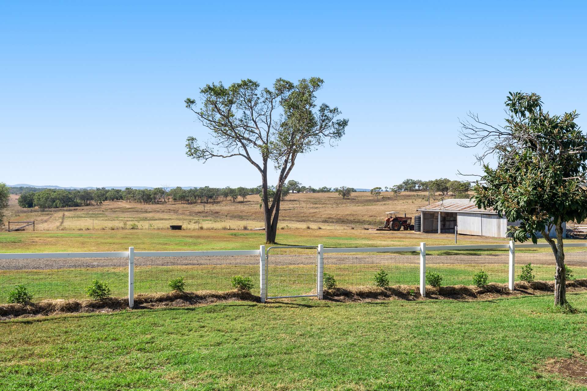 "Springdale" 44 Whittaker Road, Southbrook For Sale by Farmbuy.com - image 33