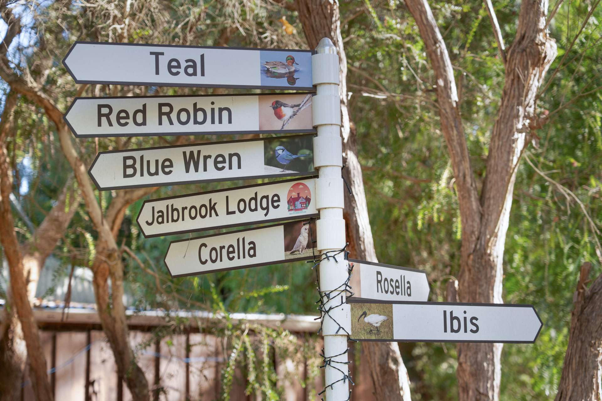 127 Jayes Road, Balingup For Sale by Farmbuy.com - image 8