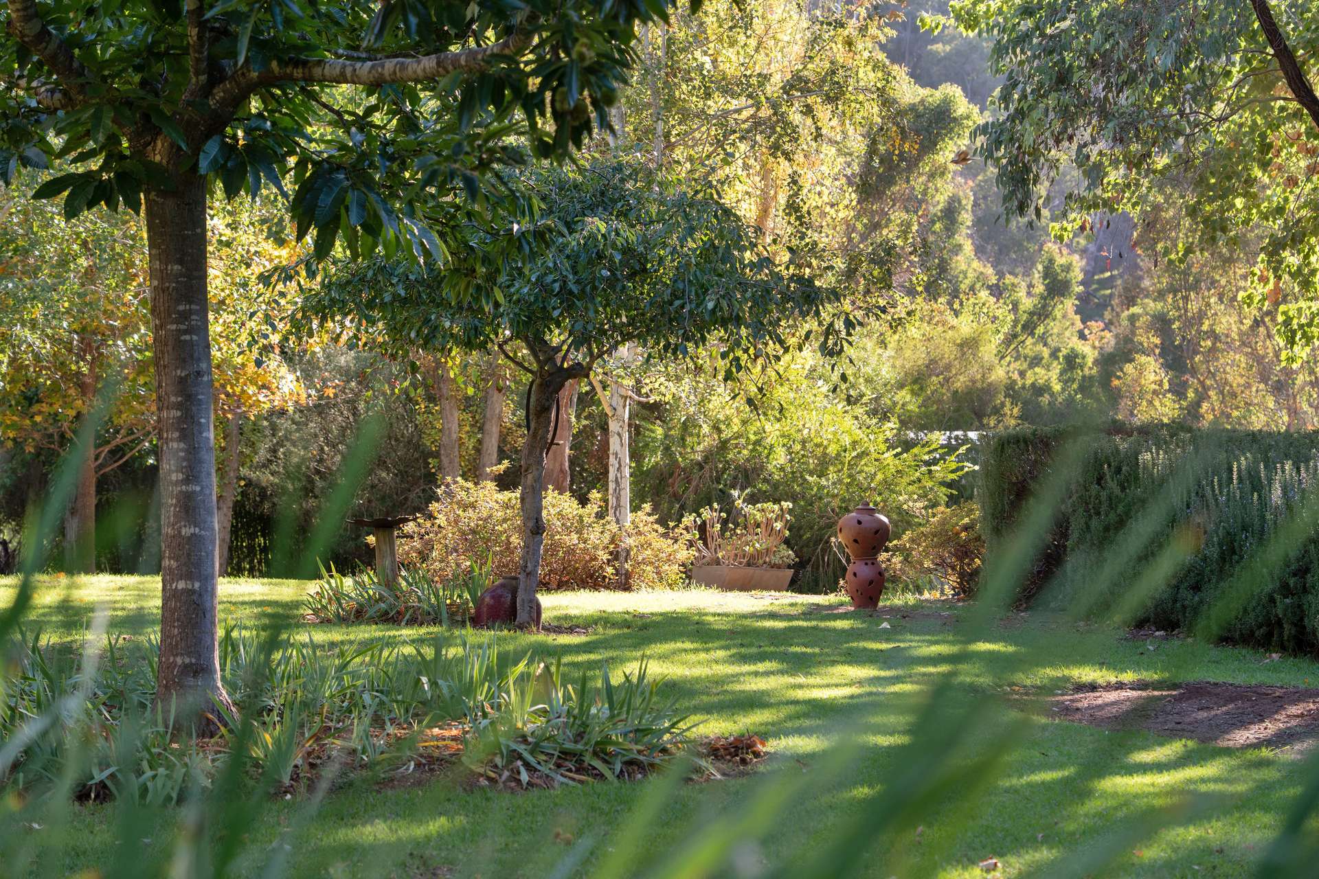 127 Jayes Road, Balingup For Sale by Farmbuy.com - image 4