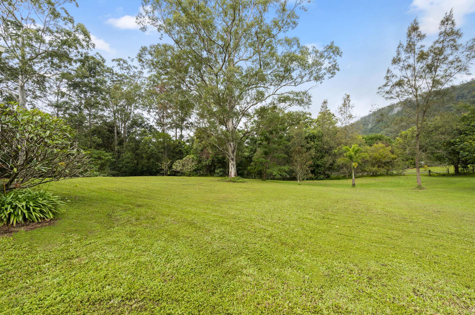 1 Bellbird Court, Cedar Creek For Sale by Farmbuy.com - image 14