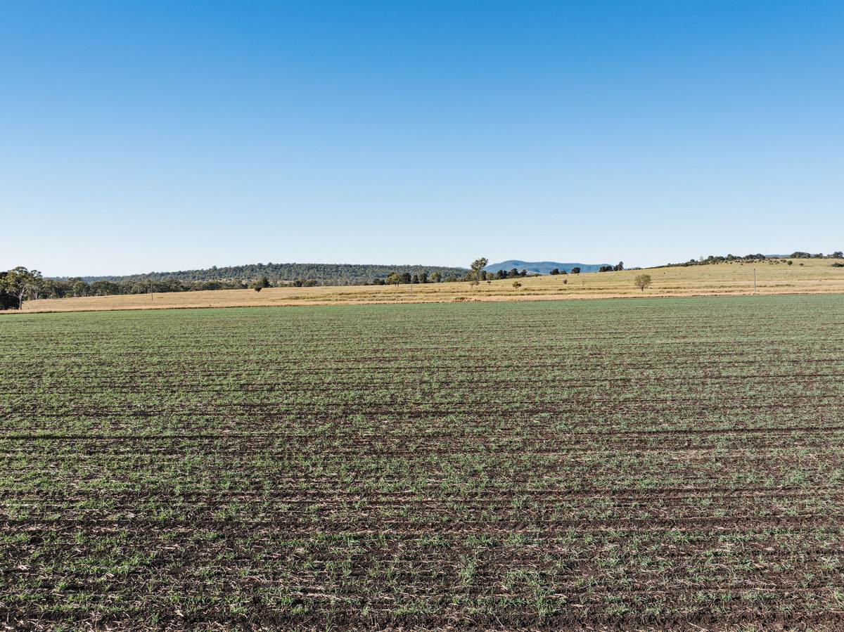 414 Red Tank Road, Boyneside For Sale by Farmbuy.com - image 4