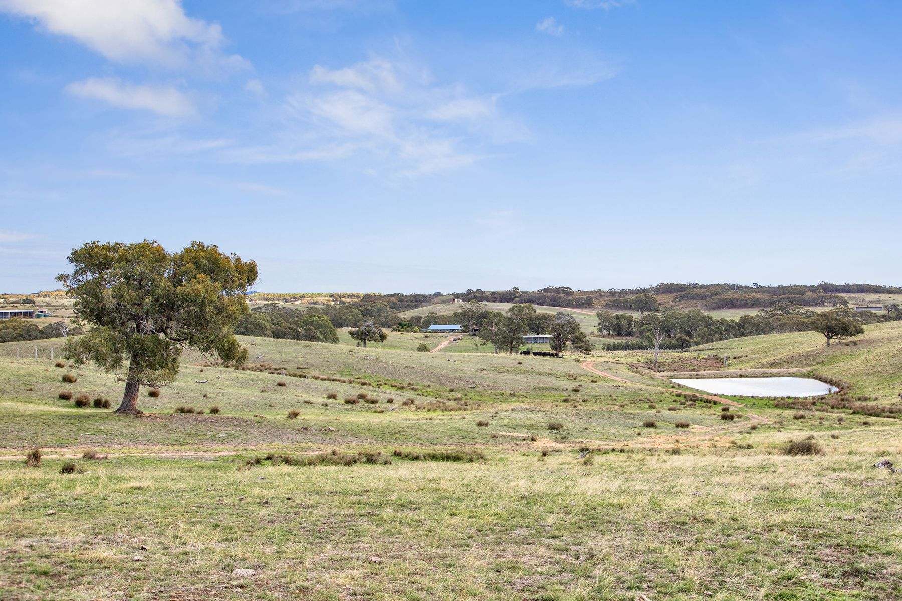 1335 Dairy Flat Road, Tooborac For Sale by Farmbuy.com - image 20