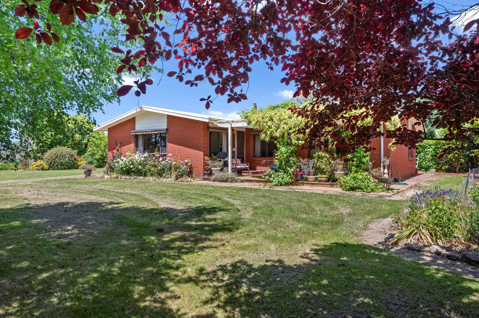 63 Swanpool-Lima Road, Swanpool For Sale by Farmbuy.com - image 4