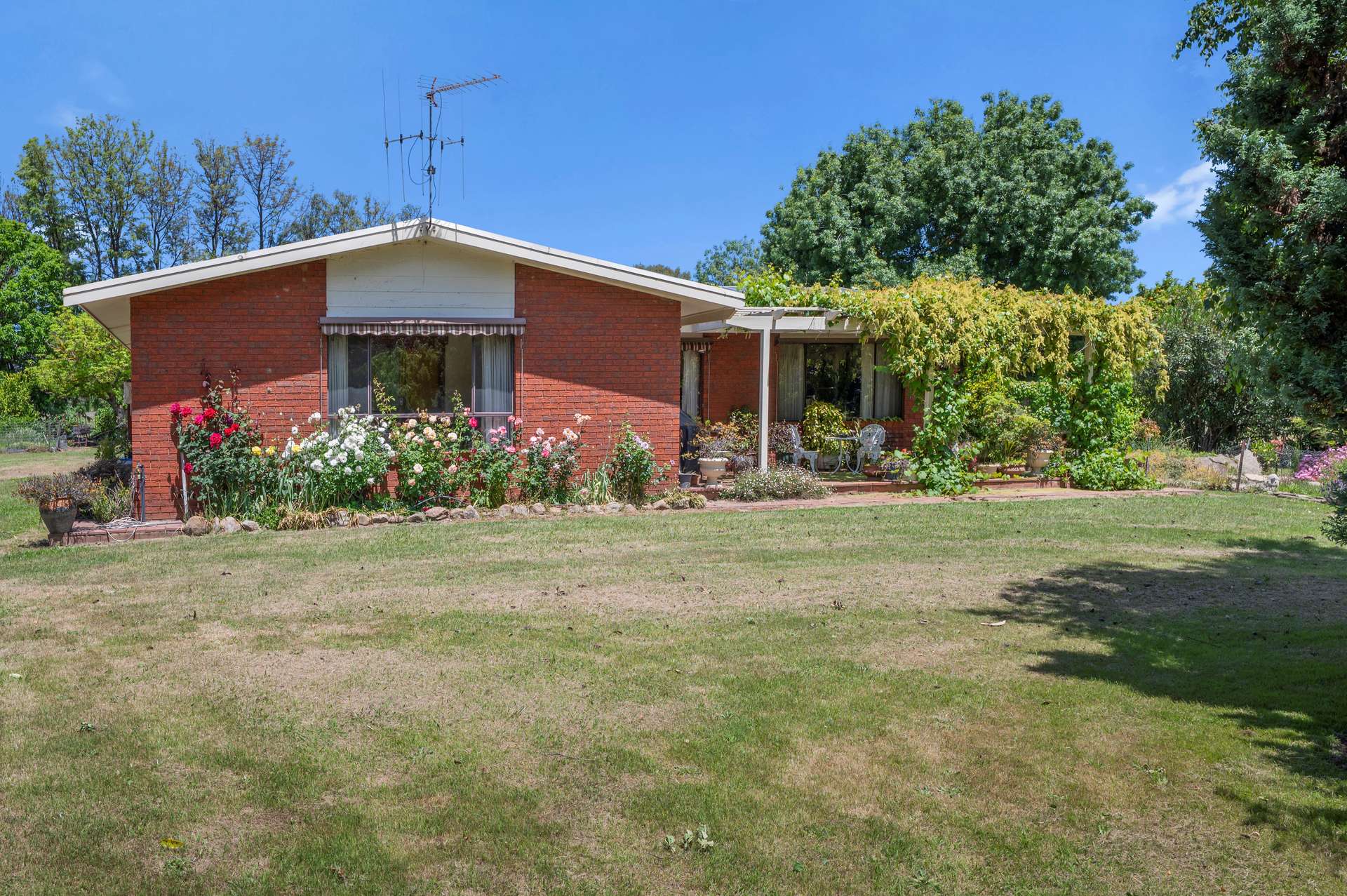 63 Swanpool-Lima Road, Swanpool For Sale by Farmbuy.com - image 2