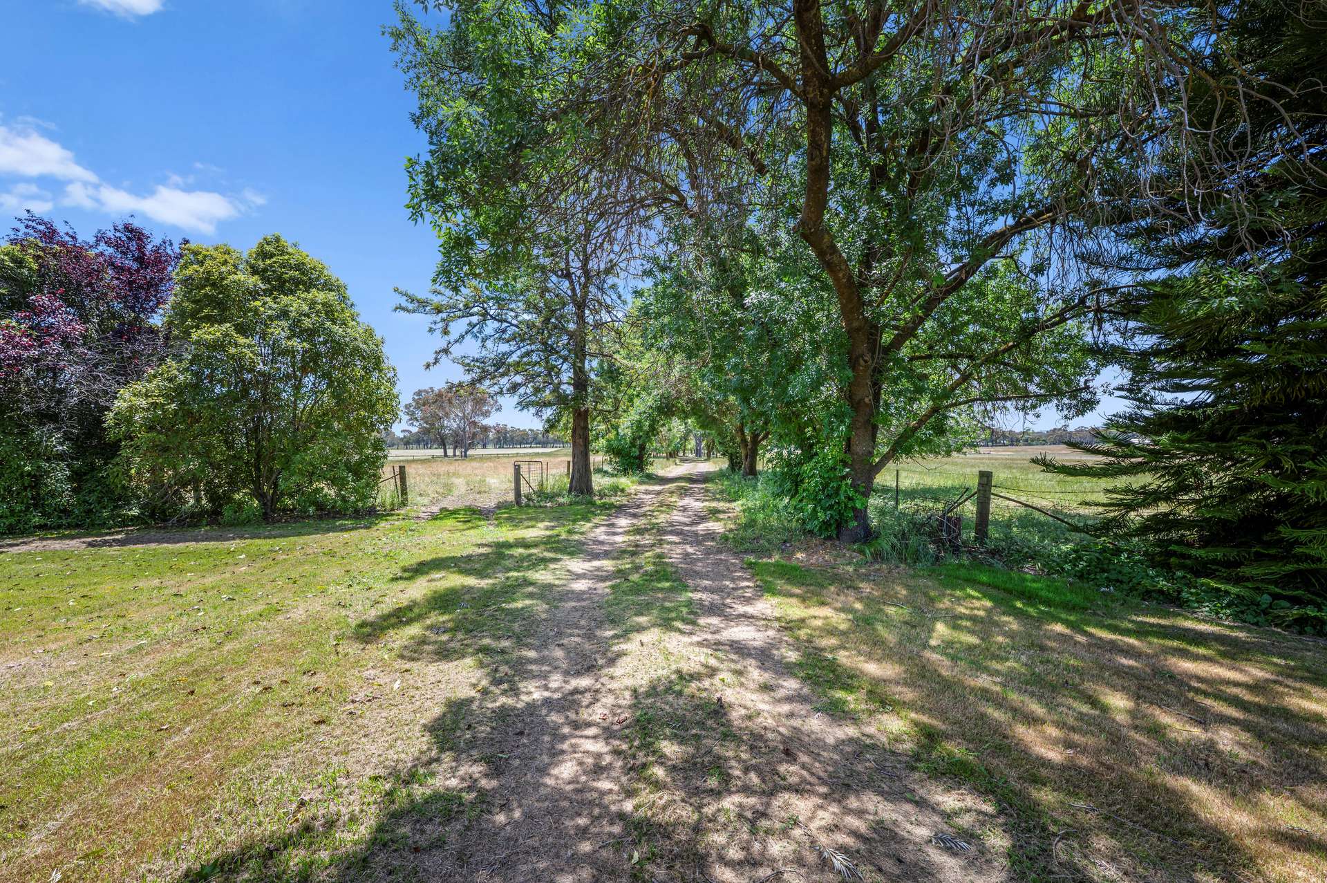63 Swanpool-Lima Road, Swanpool For Sale by Farmbuy.com - image 17