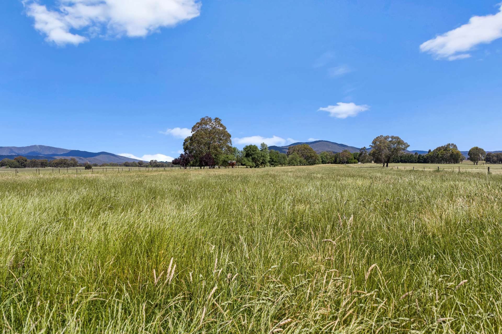 63 Swanpool-Lima Road, Swanpool For Sale by Farmbuy.com - image 19