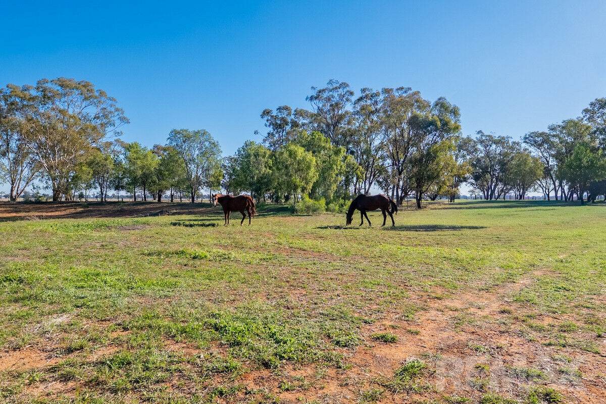 268 Andrews Road, Brookdale For Sale by Farmbuy.com - image 8