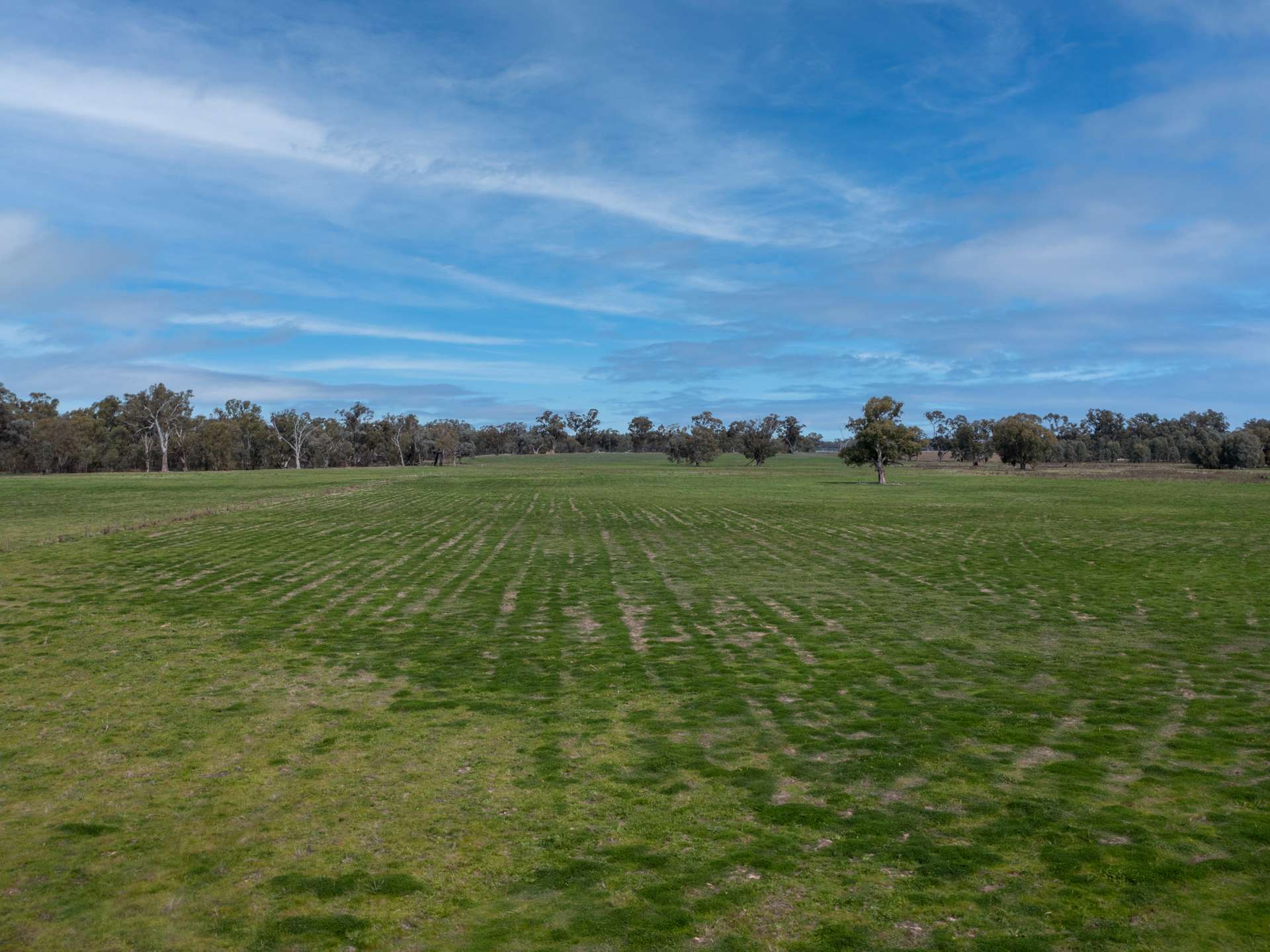 Lots 1-2 / 435 Paris Road, Brimin For Sale by Farmbuy.com - image 12