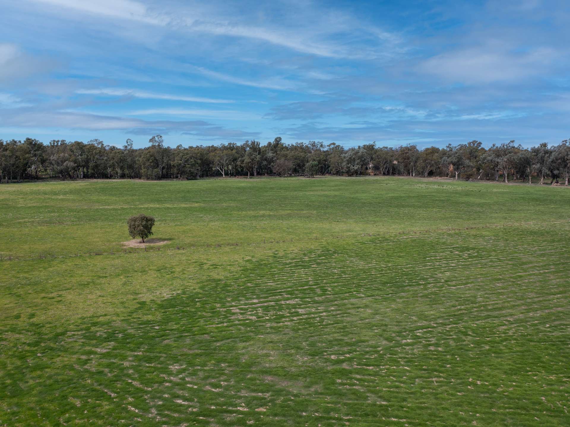 Lots 1-2 / 435 Paris Road, Brimin For Sale by Farmbuy.com - image 8