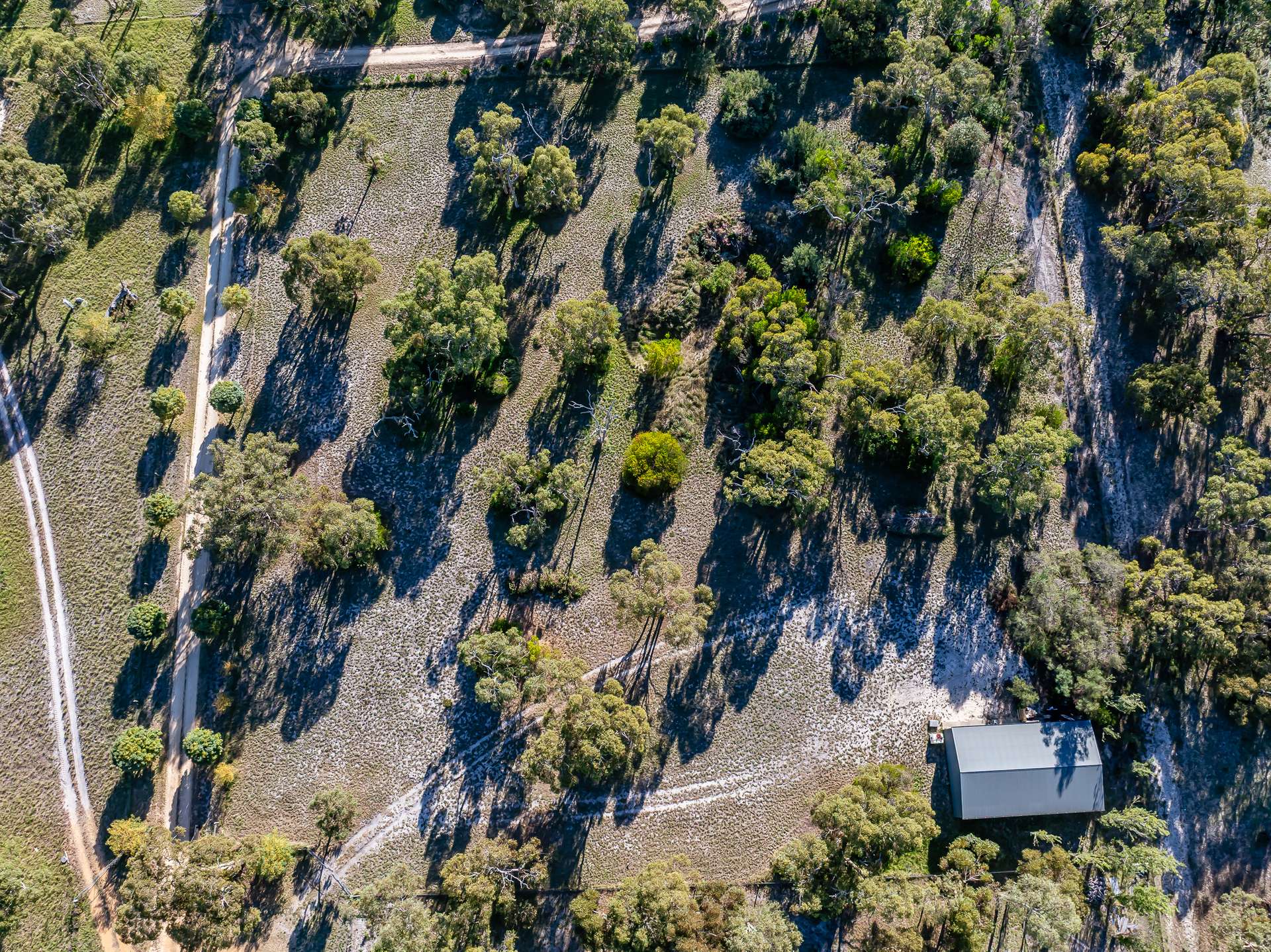 22 Mason Road, Naracoorte Sold by Farmbuy.com - image 6